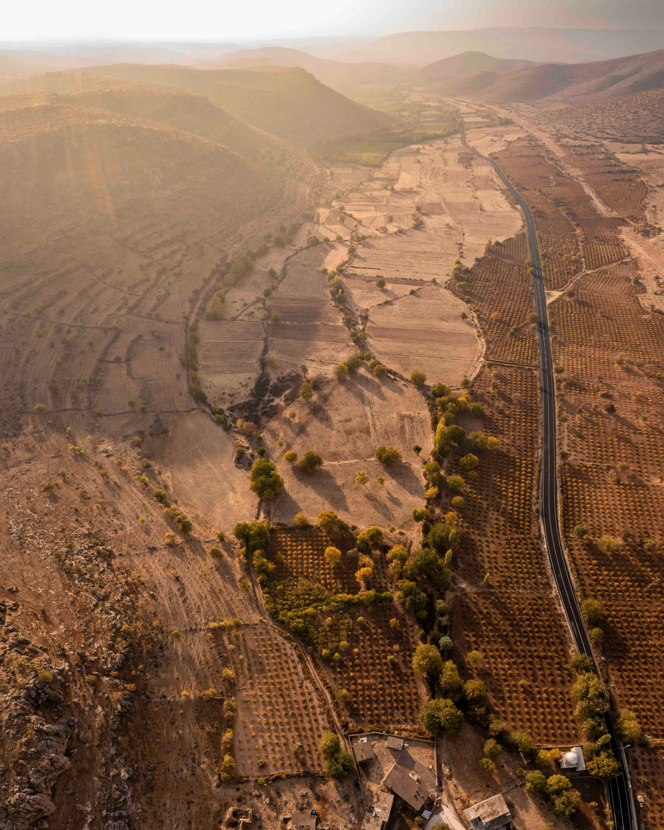 Фото. Брахим — фотограф