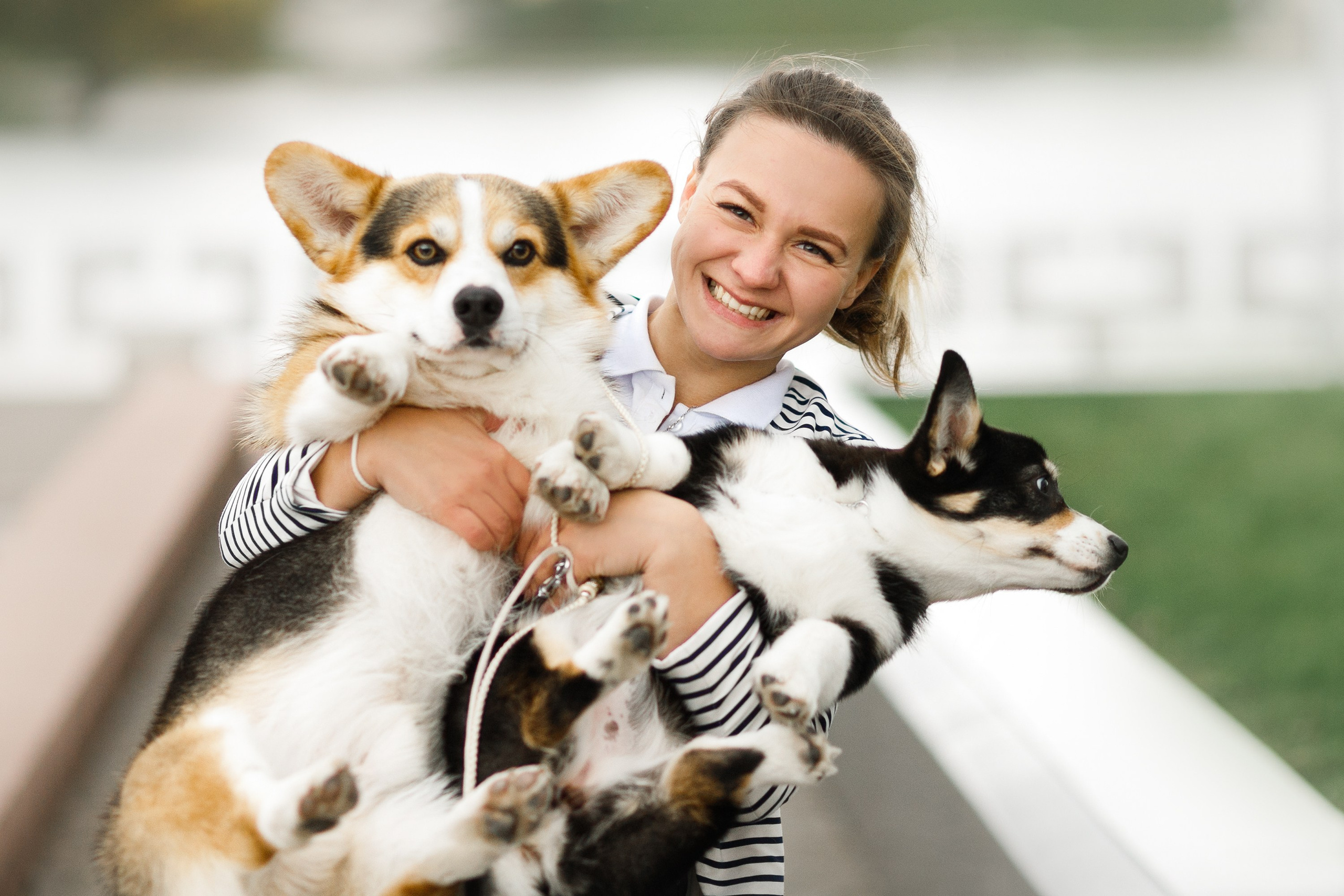 Autumn photo day for dog handler. Kaja | fotograf we Wrocławiu | ludzie i psy