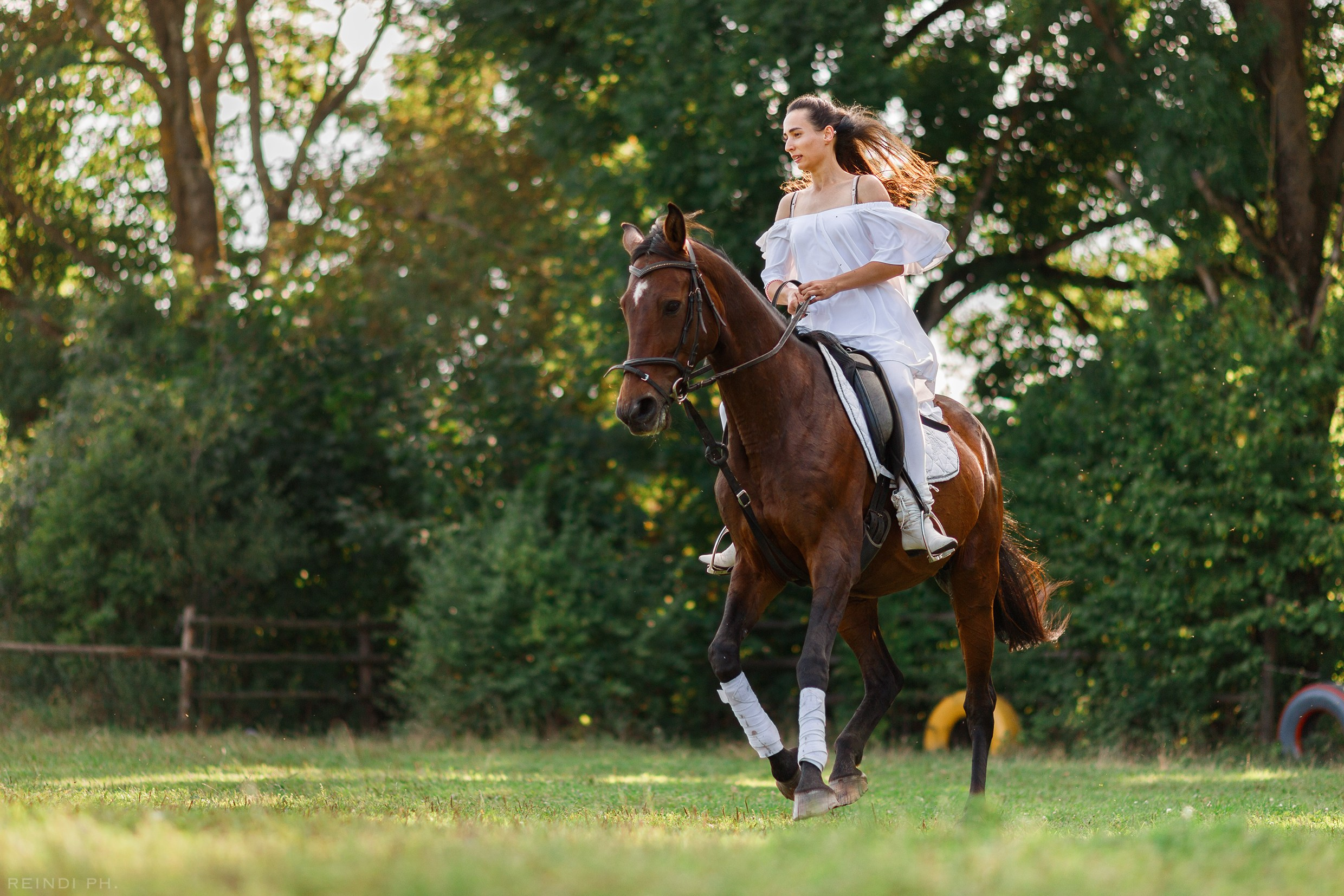 Horse show in the village. Kaja | fotograf we Wrocławiu | ludzie i psy