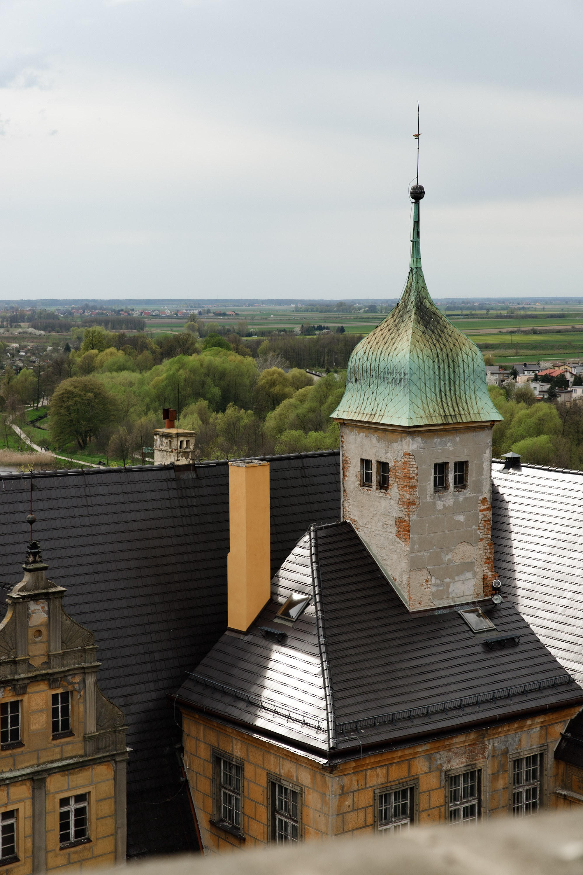 Oleśnica castle. Kaja | fotograf psów we Wrocławiu