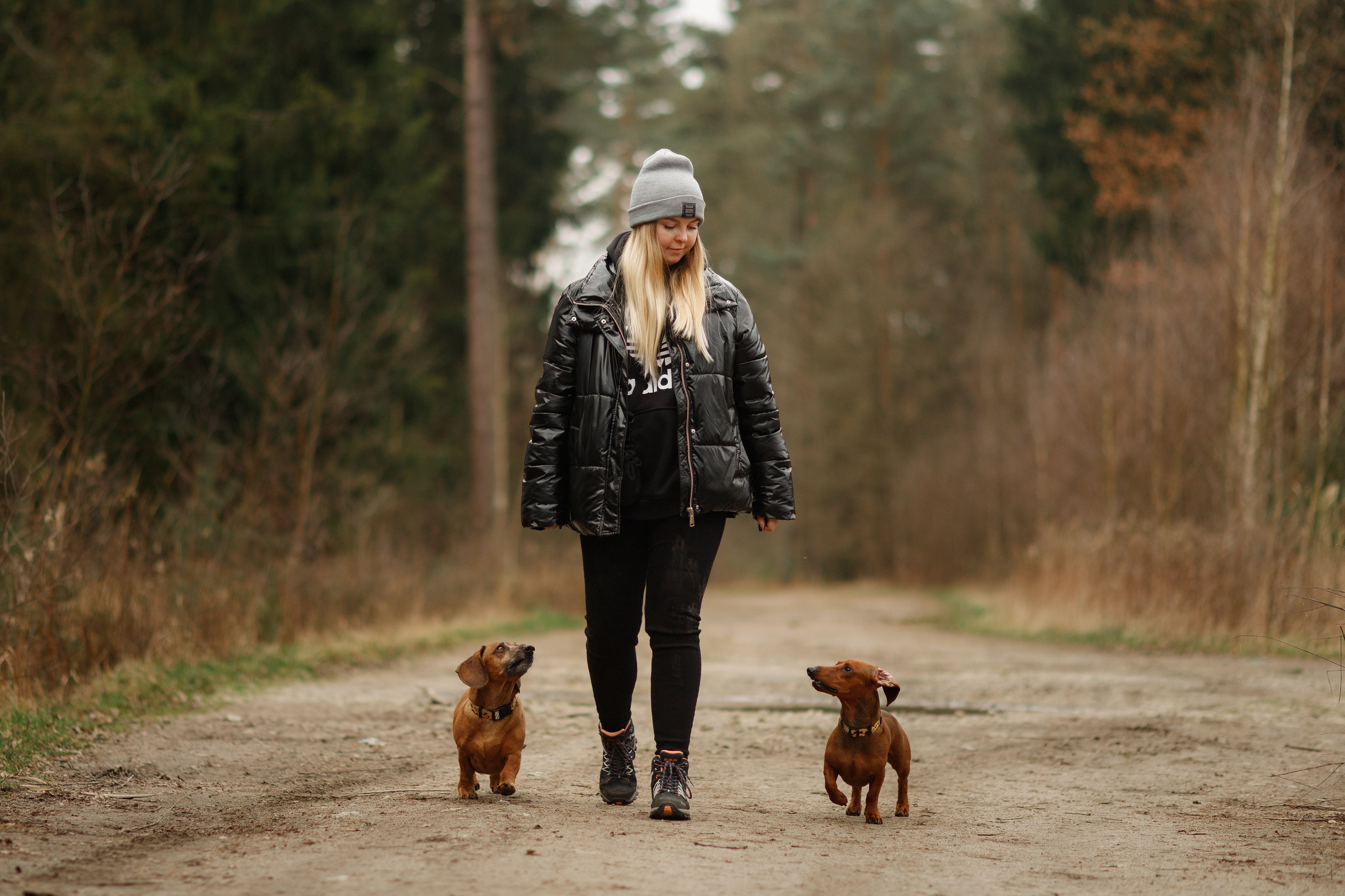 Ania, Franek & Vincent. Kaja | fotograf psów we Wrocławiu