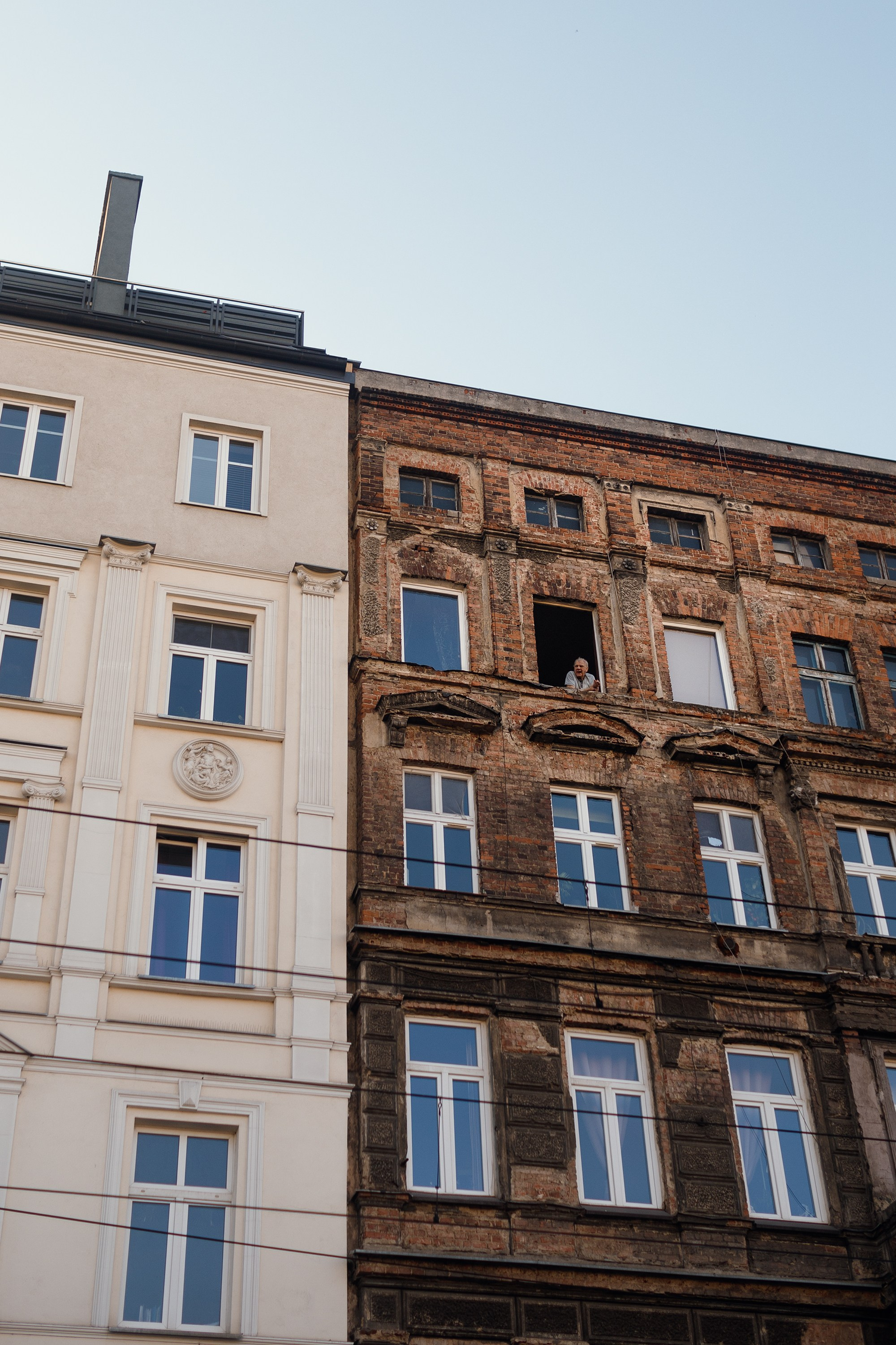 Wroclaw | the best ones. Kaja | fotograf psów we Wrocławiu