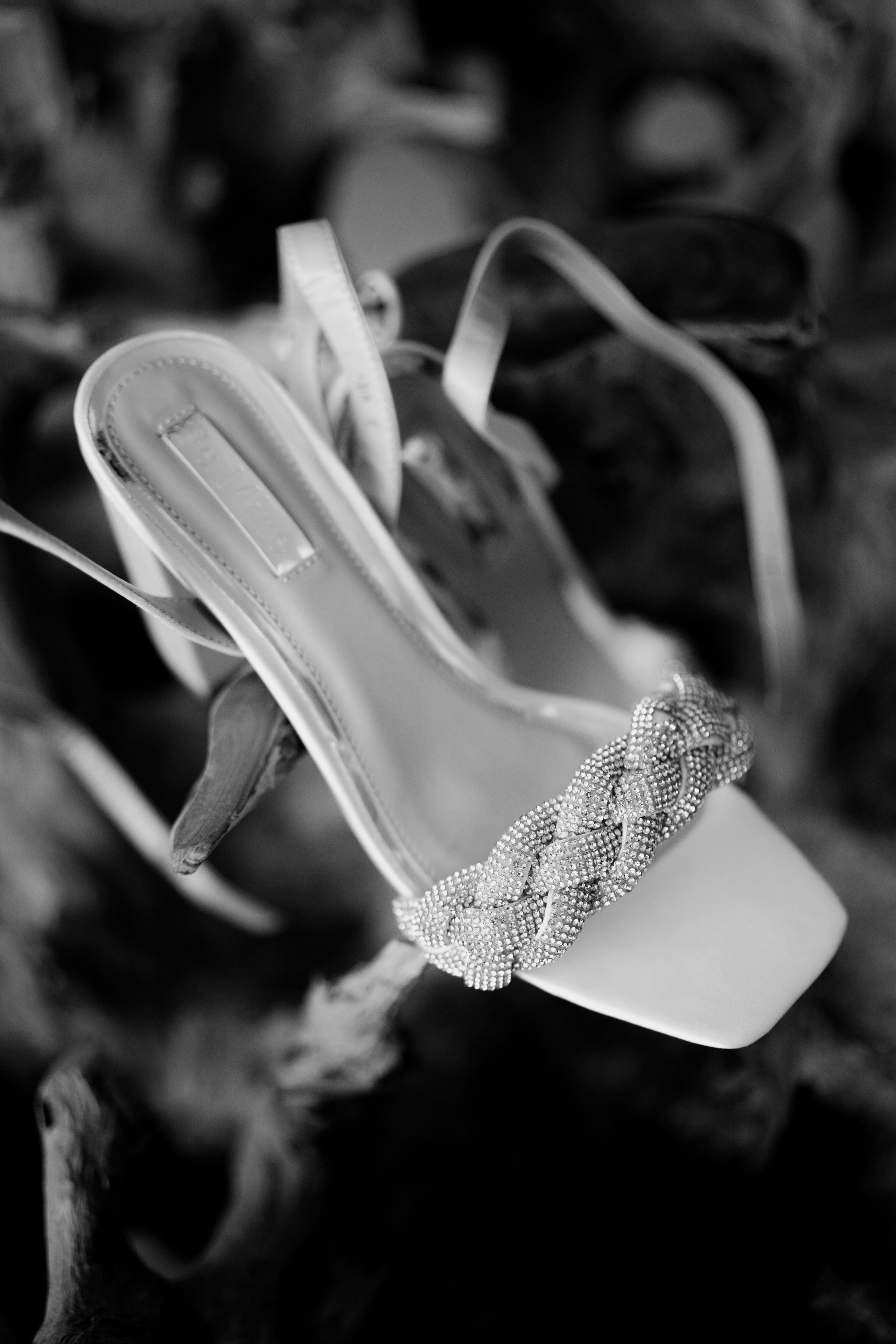 Anthony & Milena. NSJ — Wedding Studio