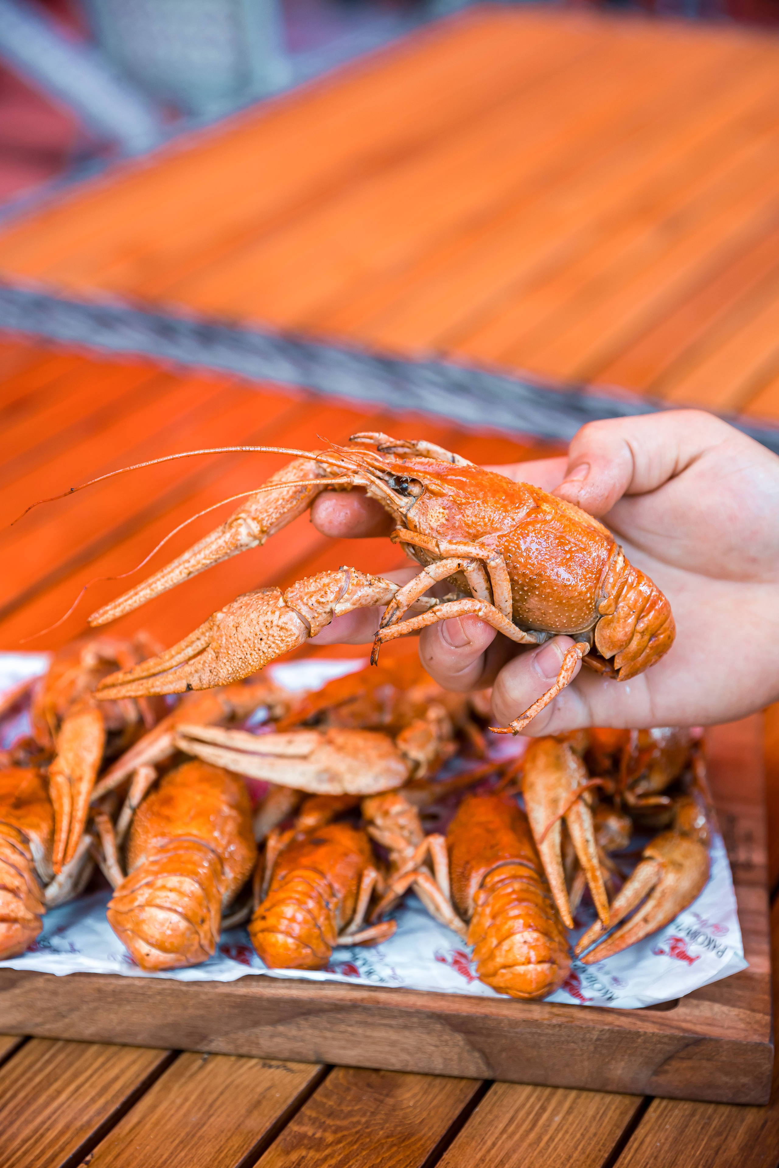 Предметная фотосъёмка. Яркие моменты, запечатленные в каждом кадре