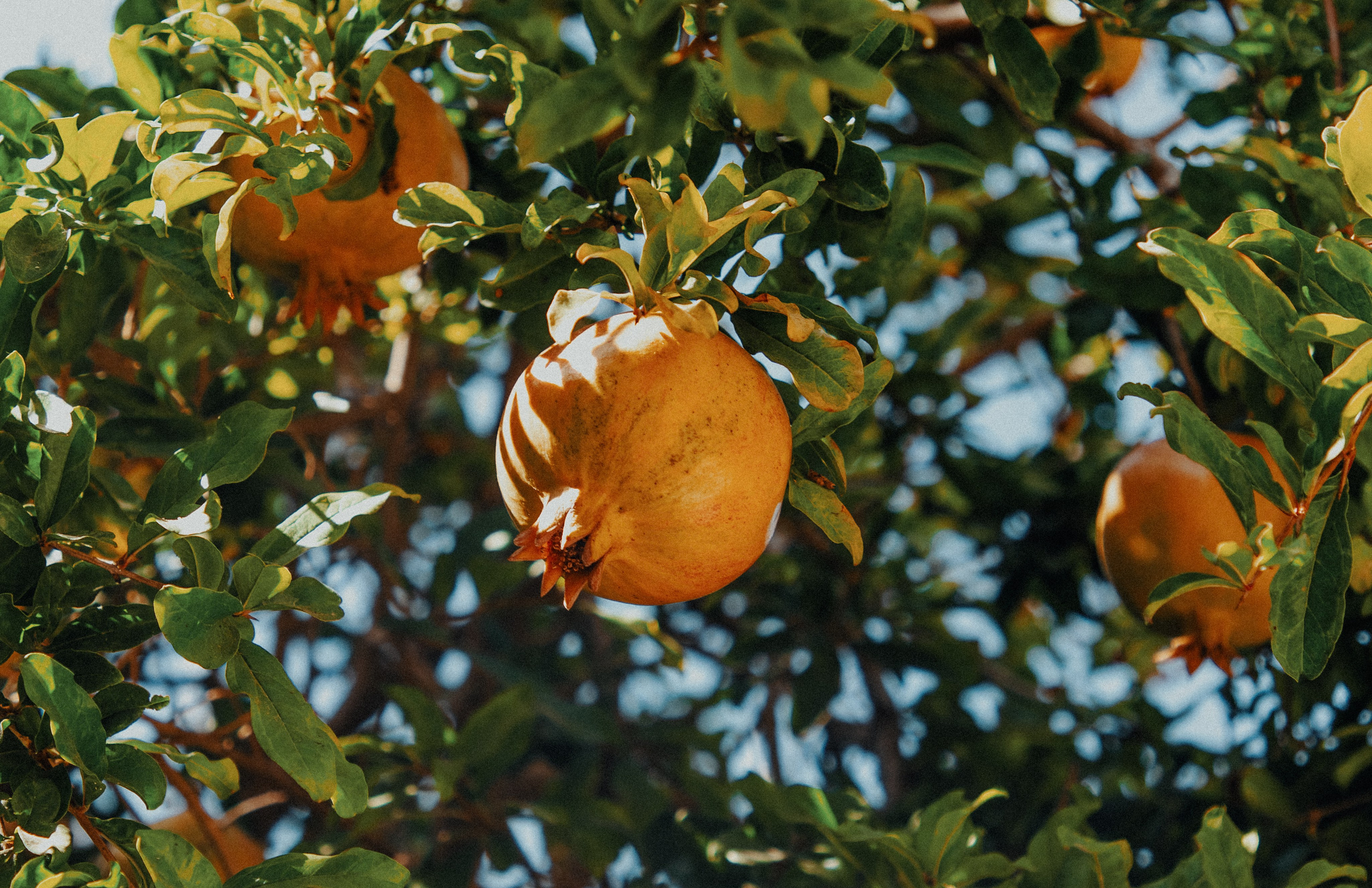 Travel & Street. Mario Jelikic Photography