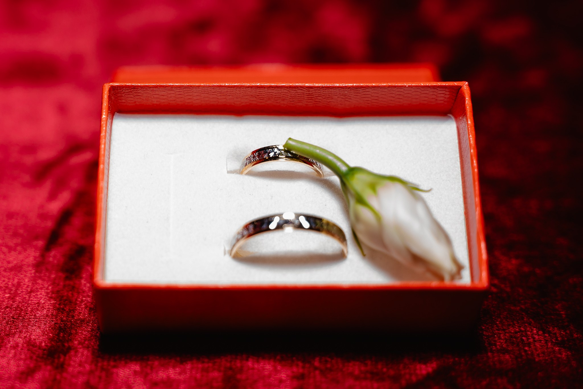 Elena și Mădălin. Mădălina & Florin | Fotograf & Videograf de Nuntă