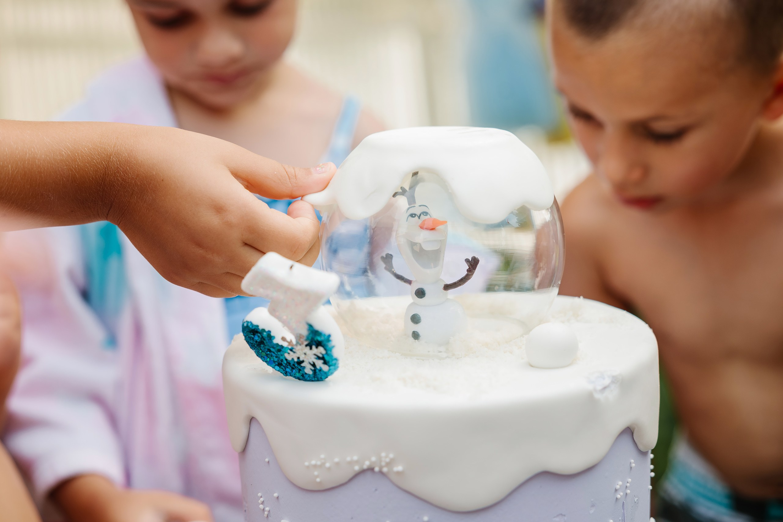 07.27.2024 Birthday Party. Wedding family event photographer in Chicago Nick Yushevich