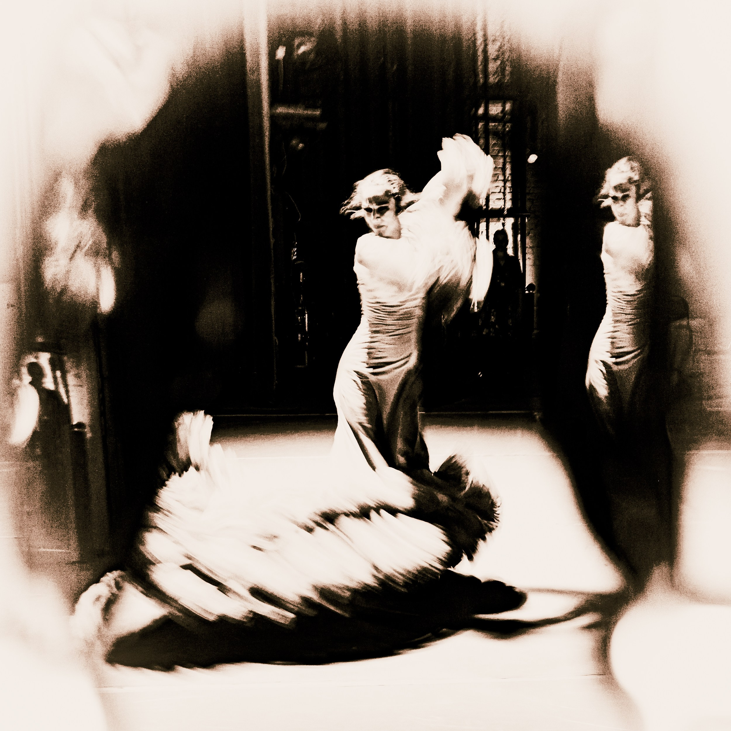 Flamenco spots. Ekaterina Tsurkina-Appina Photography Canada