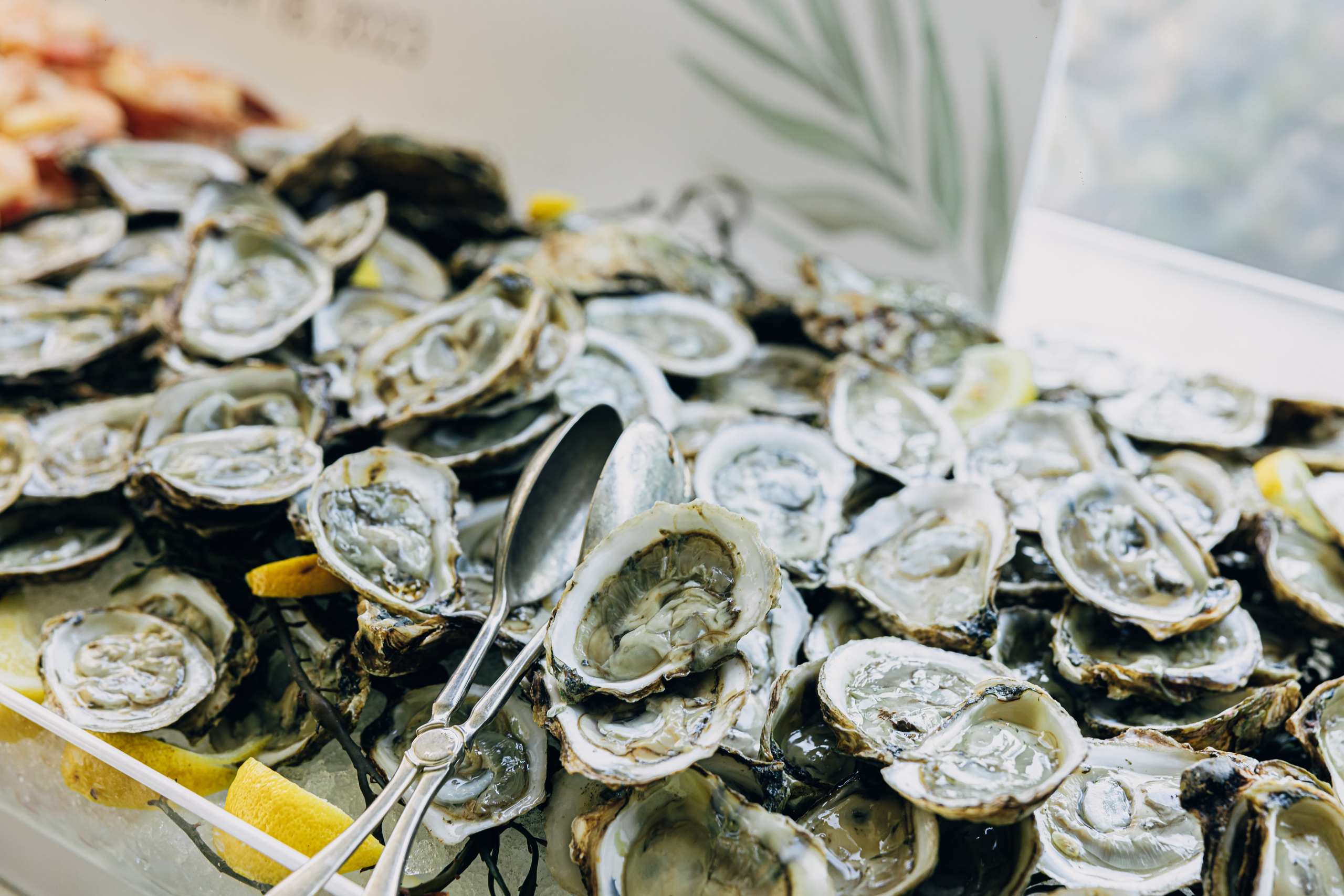 Nakia & Christal. Wedding Photo & Video