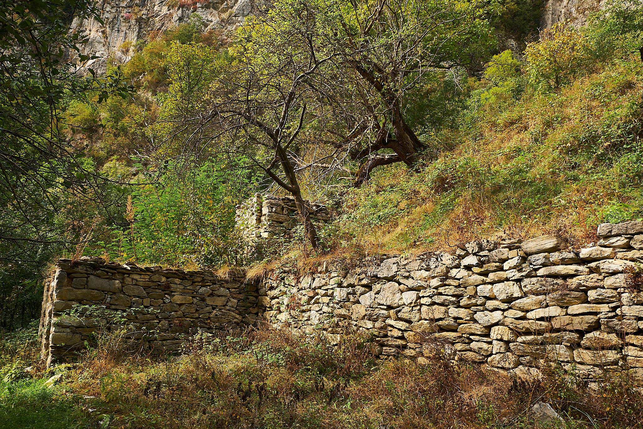 Ineleț, jud. Caraș-Severin. Pagina principală