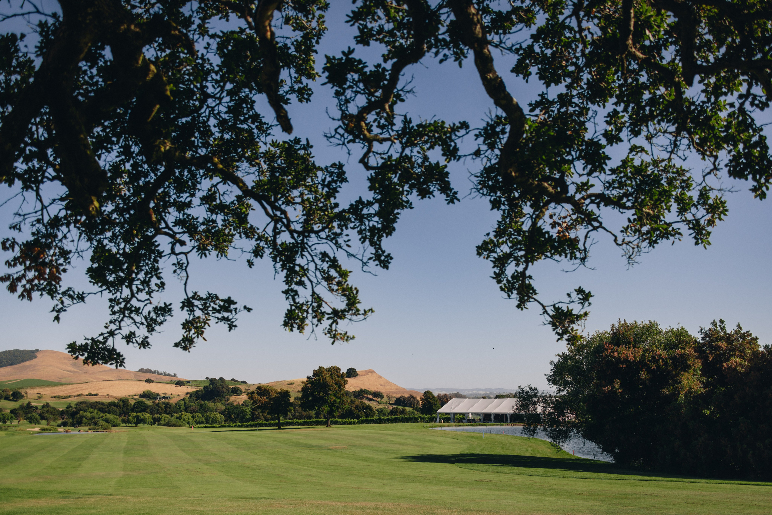 Coleman & Erenia Wedding in Napa | Georgy Shishkin Photography. Portland & Seattle Wedding, Elopement & Engagement Photographer | Georgy Shishkin