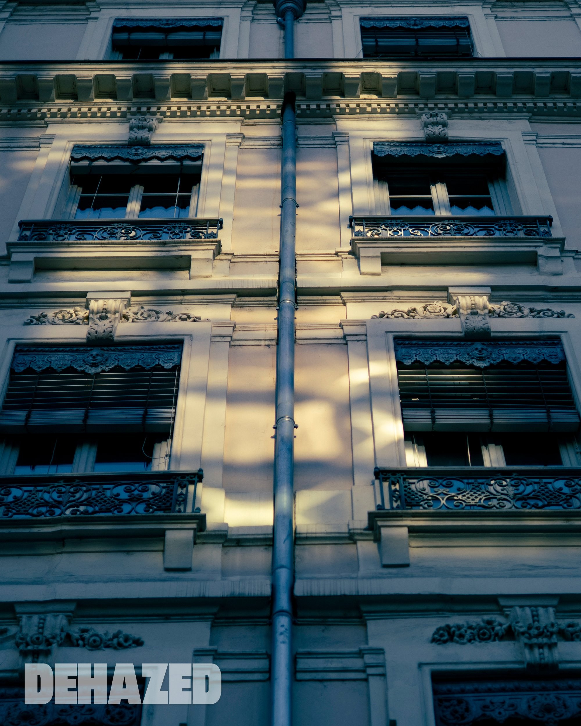 Publications. OLGA REPTIK