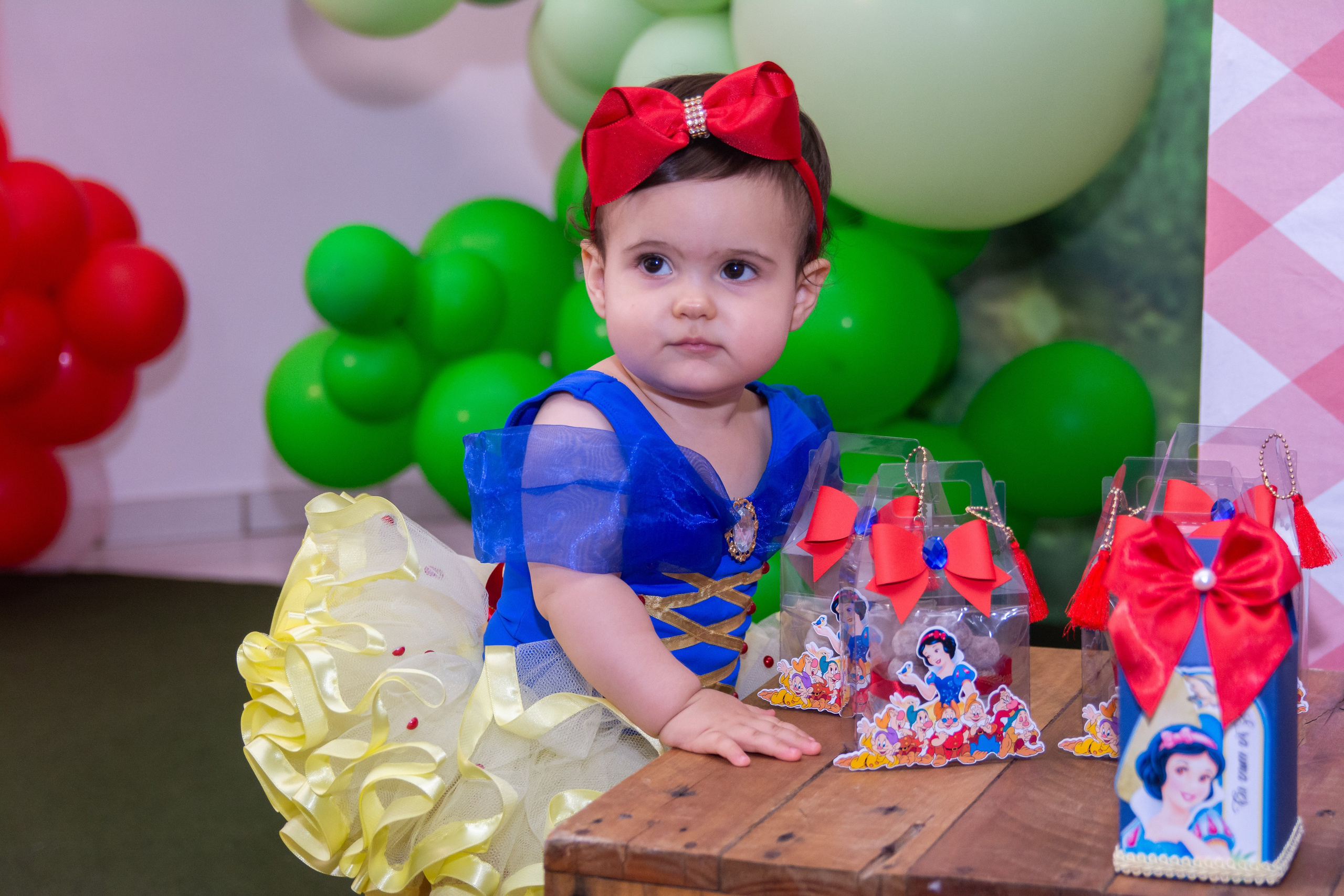 Portfólio. Fotógrafa de bebês, gestantes e famílias em Guarapari: Priscila Soares