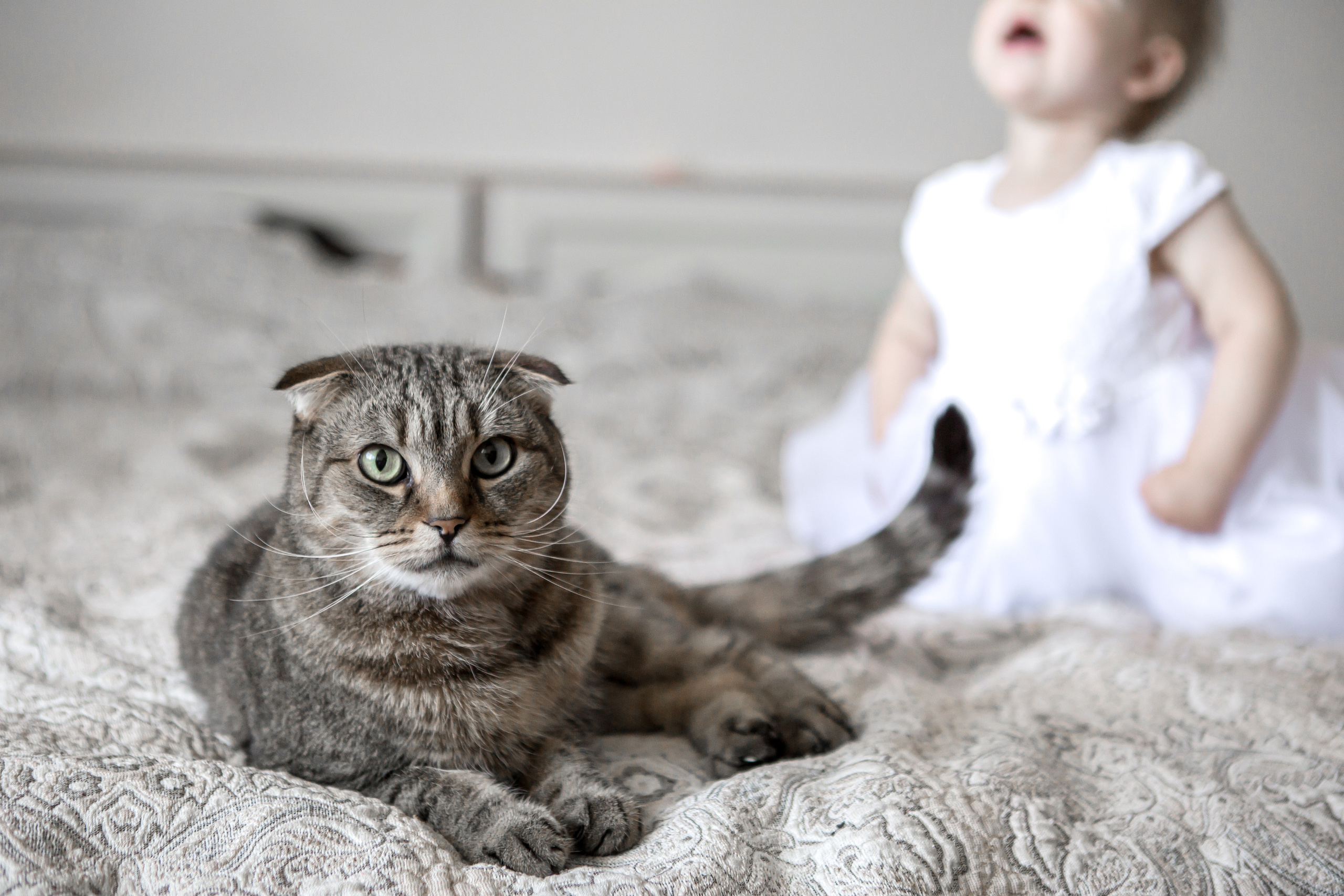 Sabina. Wedding and family photographer in Lithuania — Yvanessa Gelvano