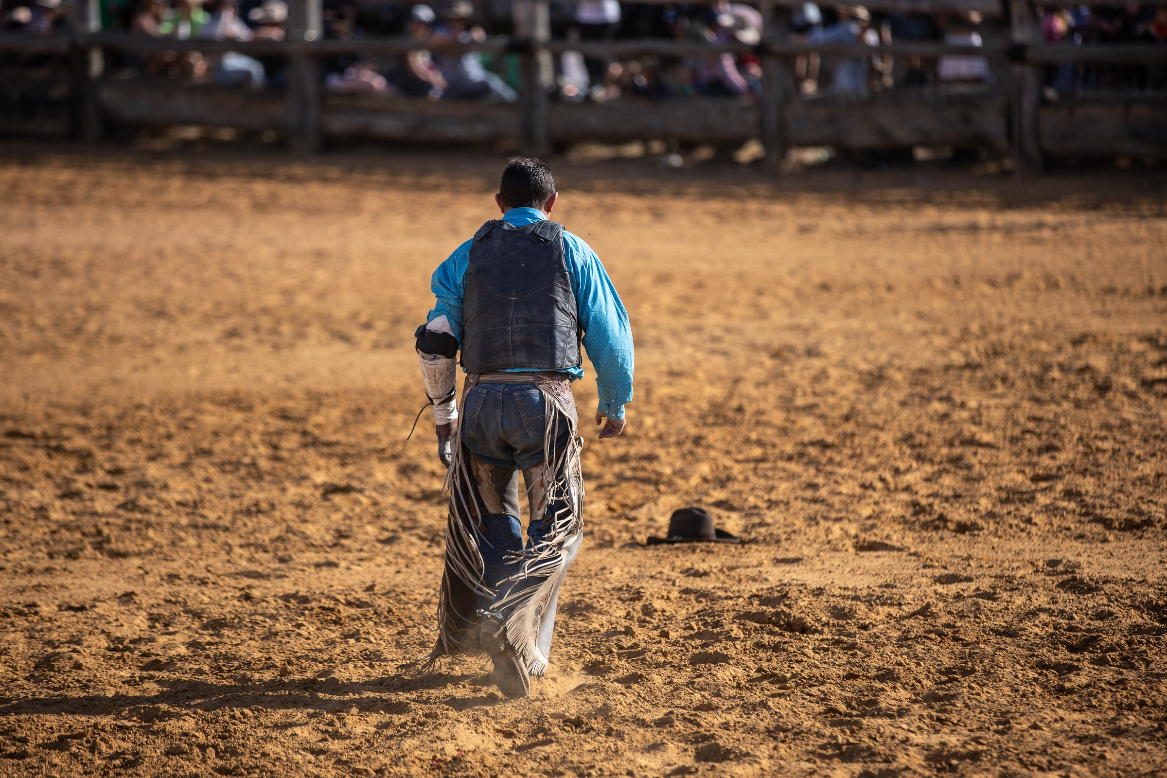 Selection of photos from different rodeos