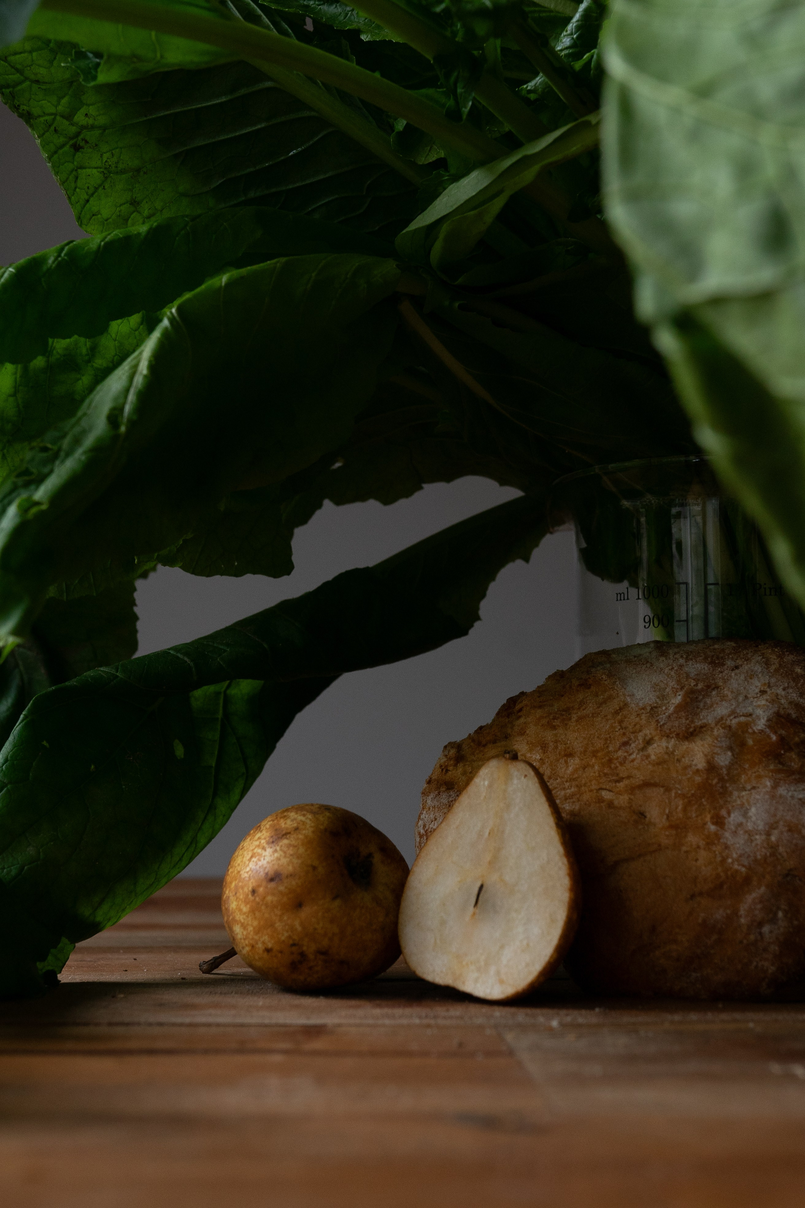 Roots. Maria Sher. Professional photographer from Porto, Portugal