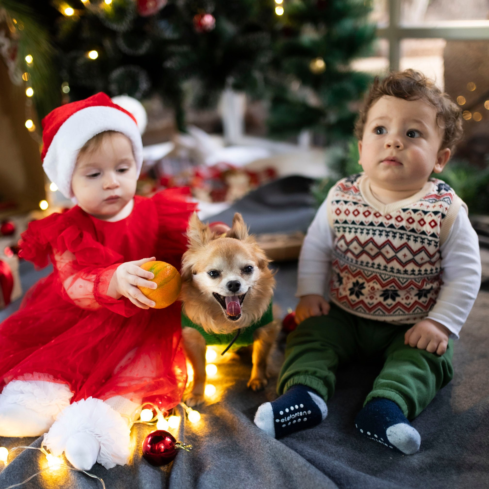 Christmas in Kindergarten. KATY GOLD PHOTOGRAPHY