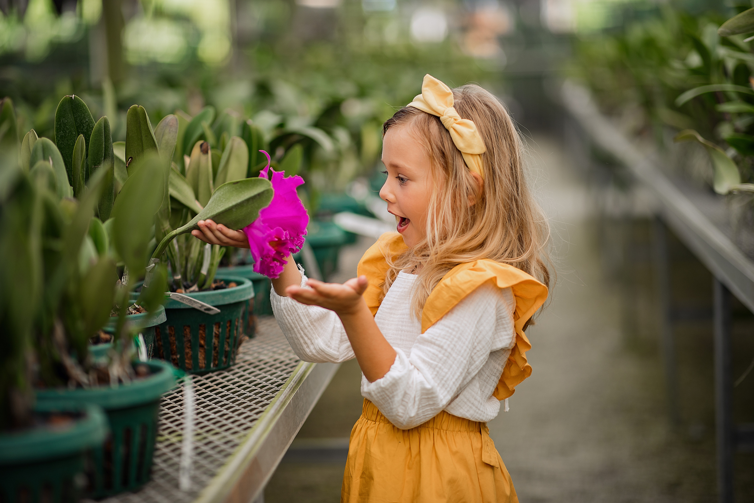 Orchid Farm. Family and Event photographer in Homestead and Miami areas of Florida