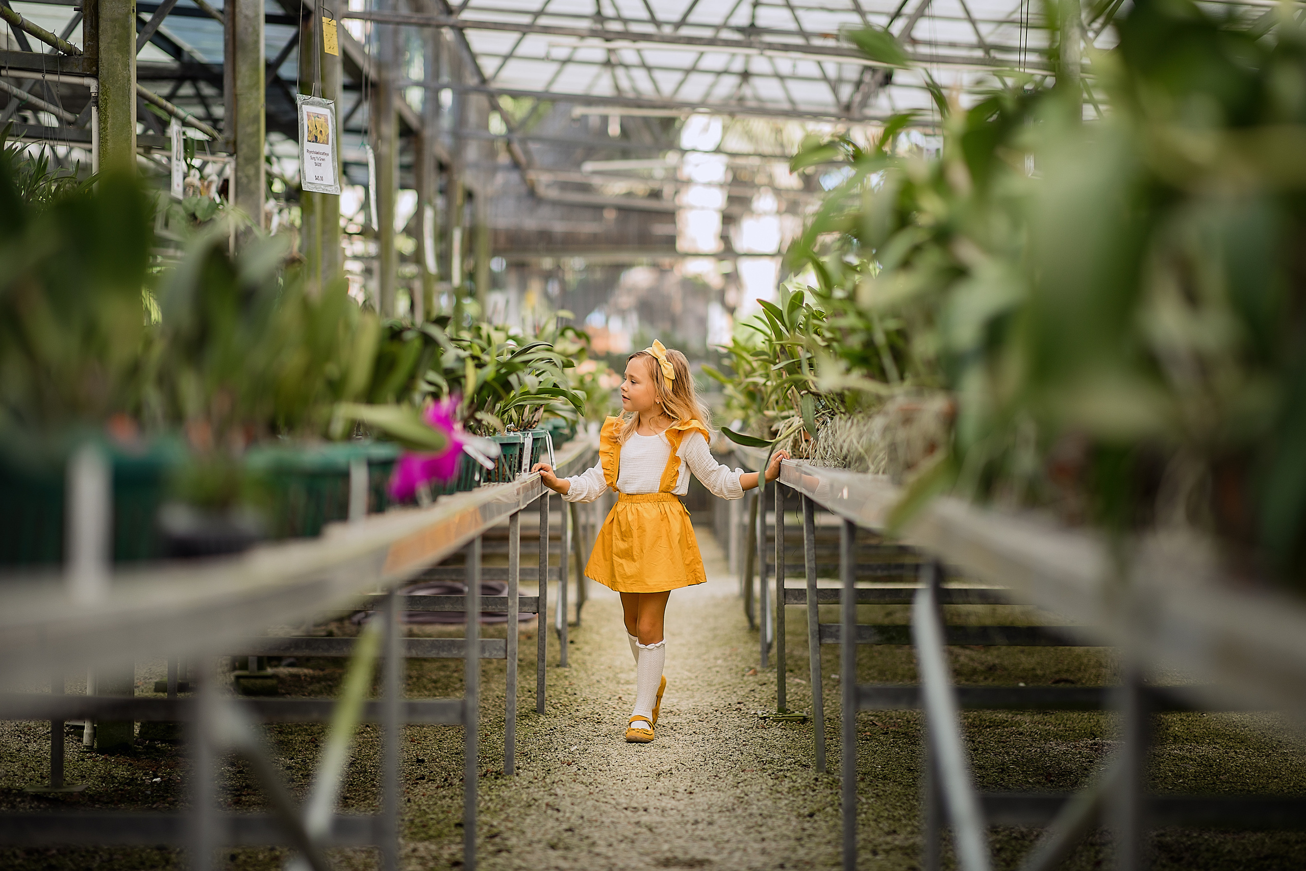 Orchid Farm. Family and Event photographer in Homestead and Miami areas of Florida