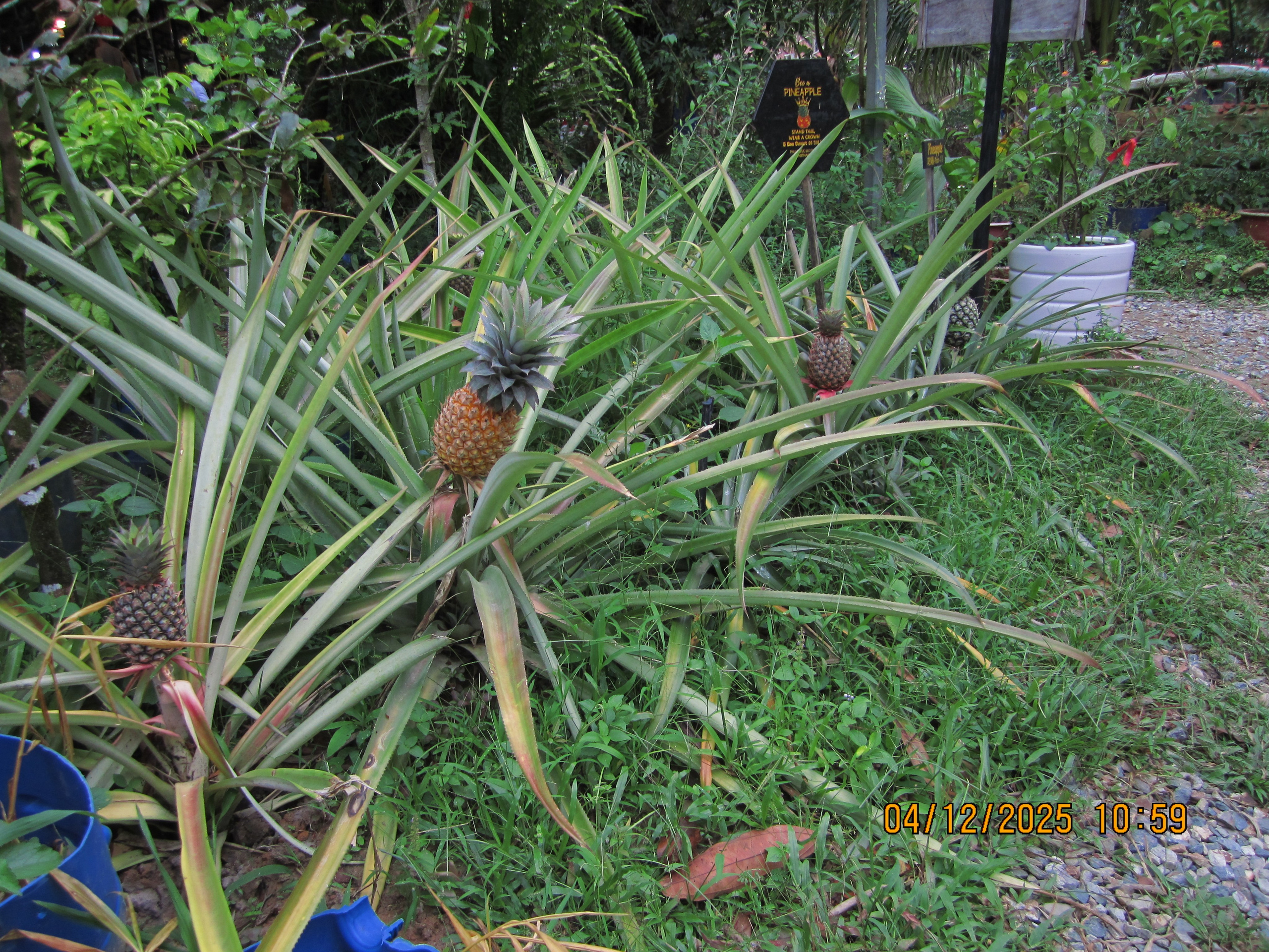 Kümnes päev. LondoSpeed Photography