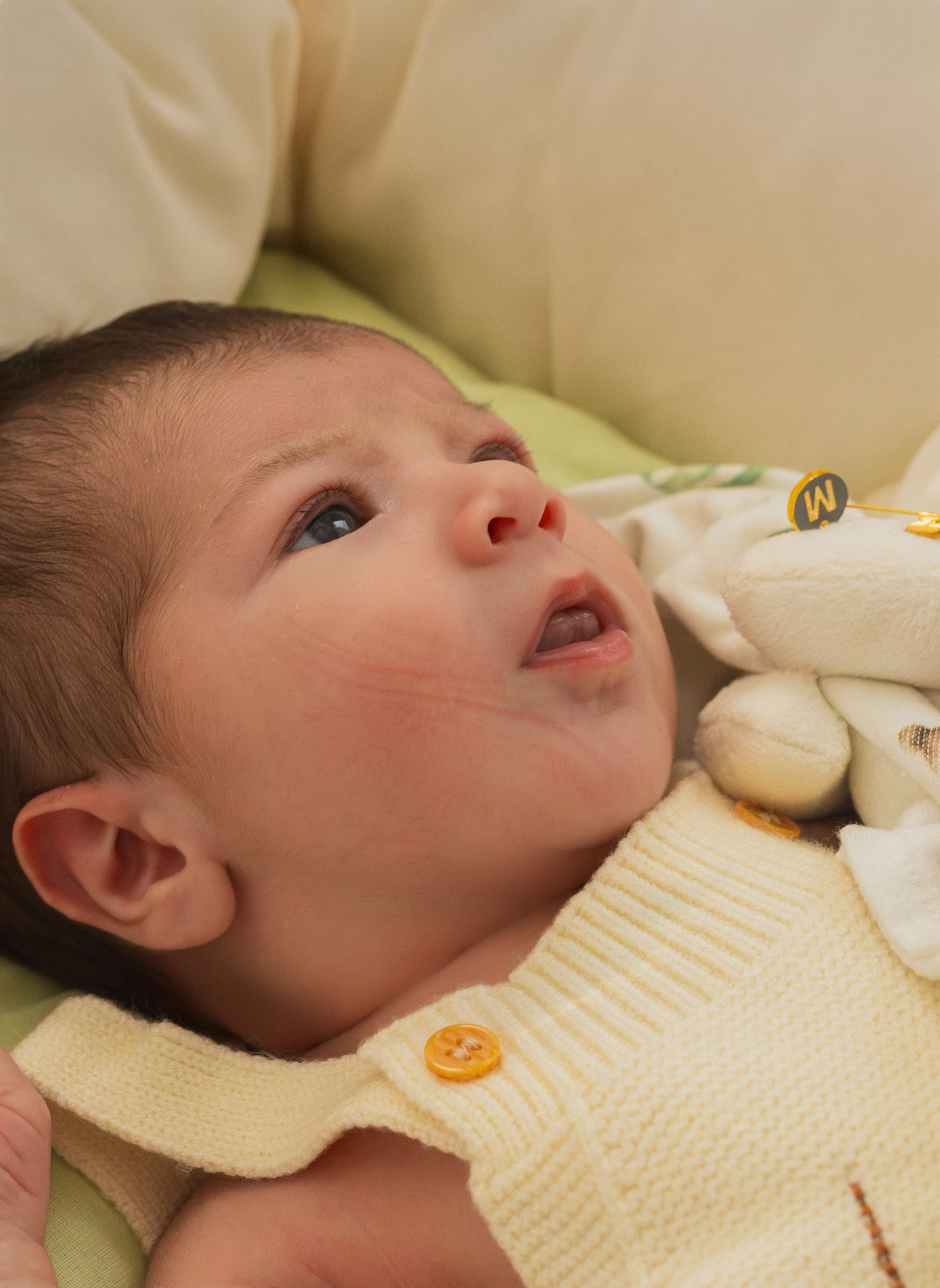 Ensaio Newborn em Sombrio. Fotografia de Recém-Nascido. Oukla Estúdio