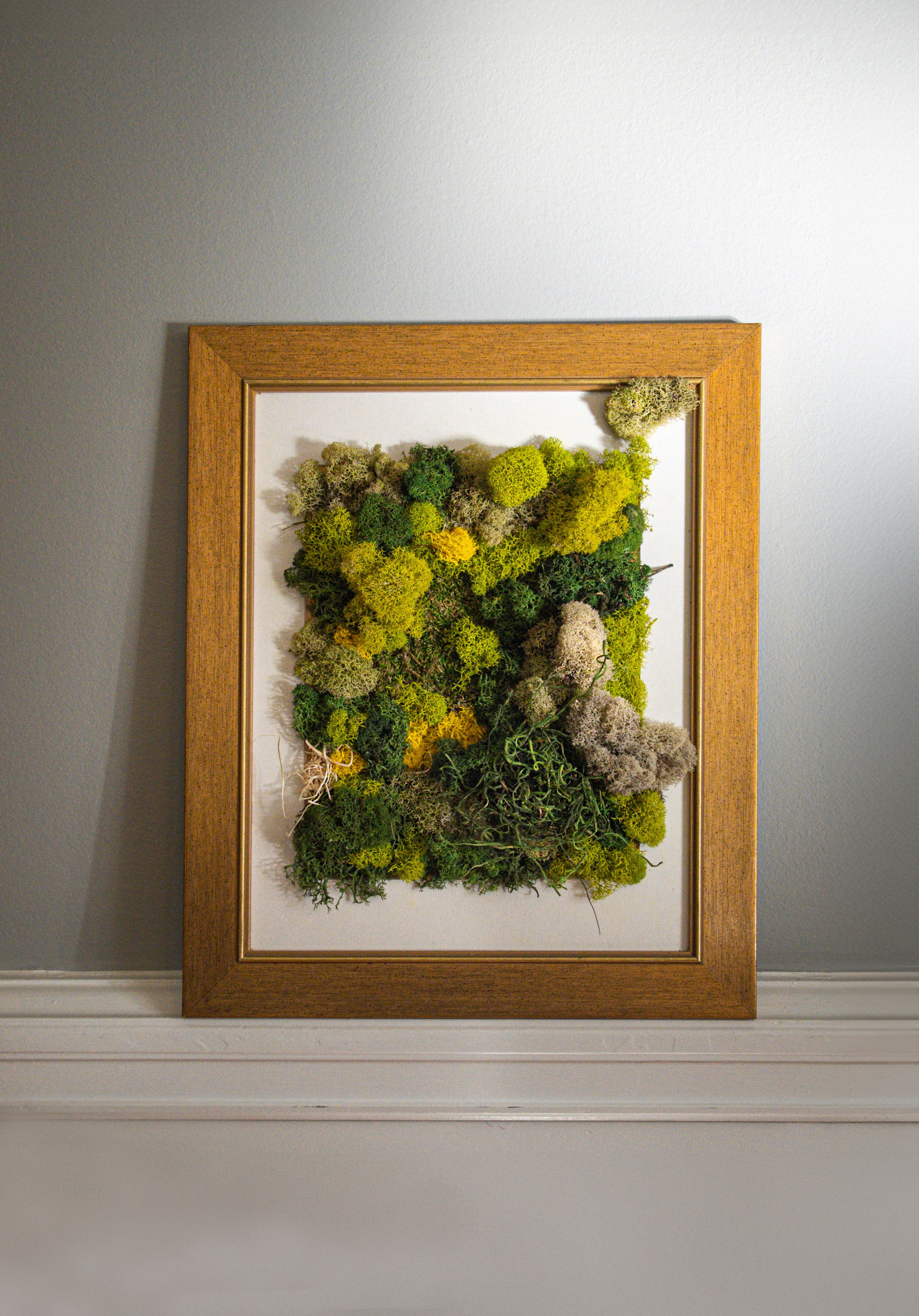 Anna & Moss magic, Content. Yana Bobrova | Artistic Photography