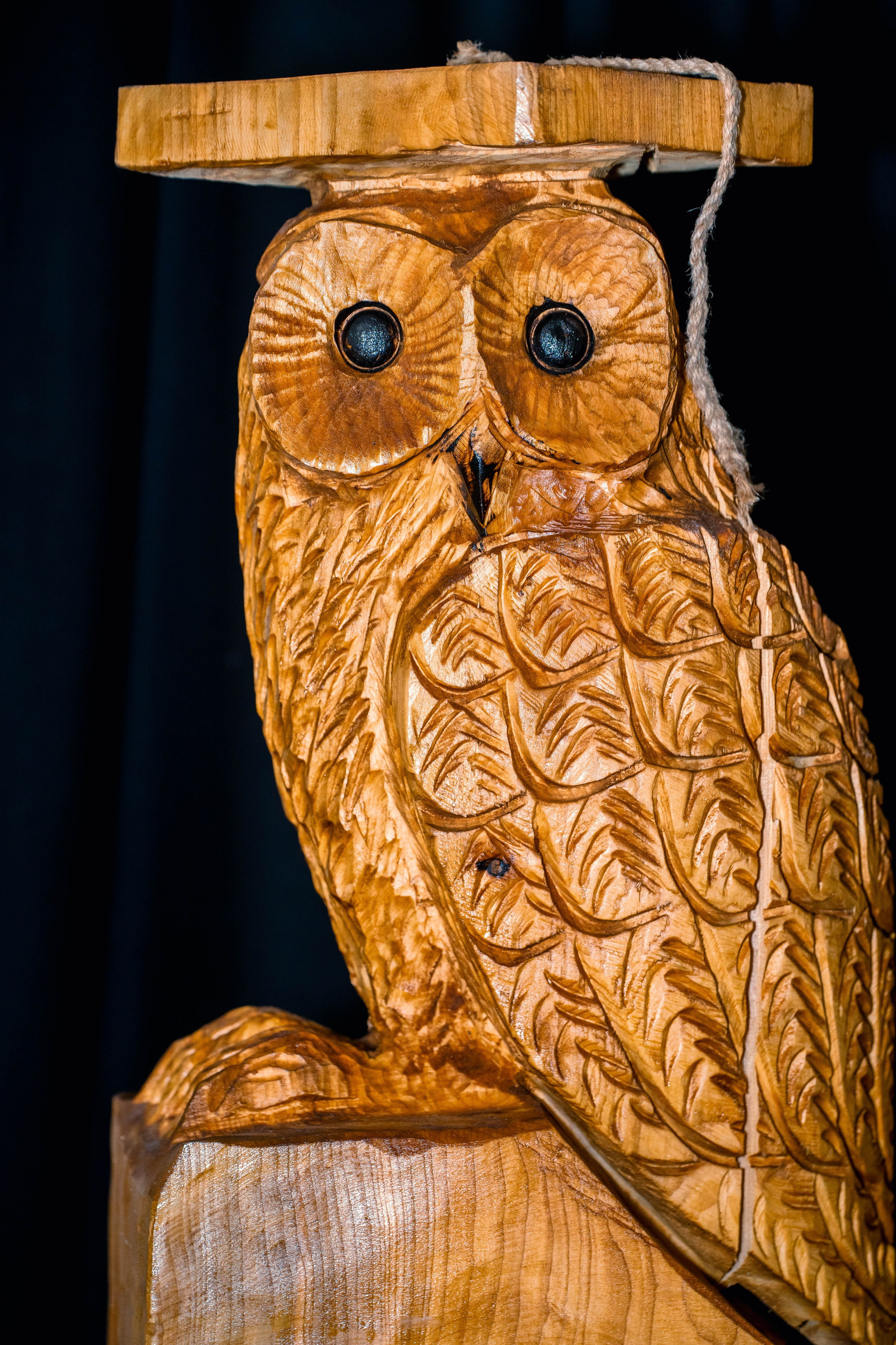 The Owl Society. Expect Miracles Photography