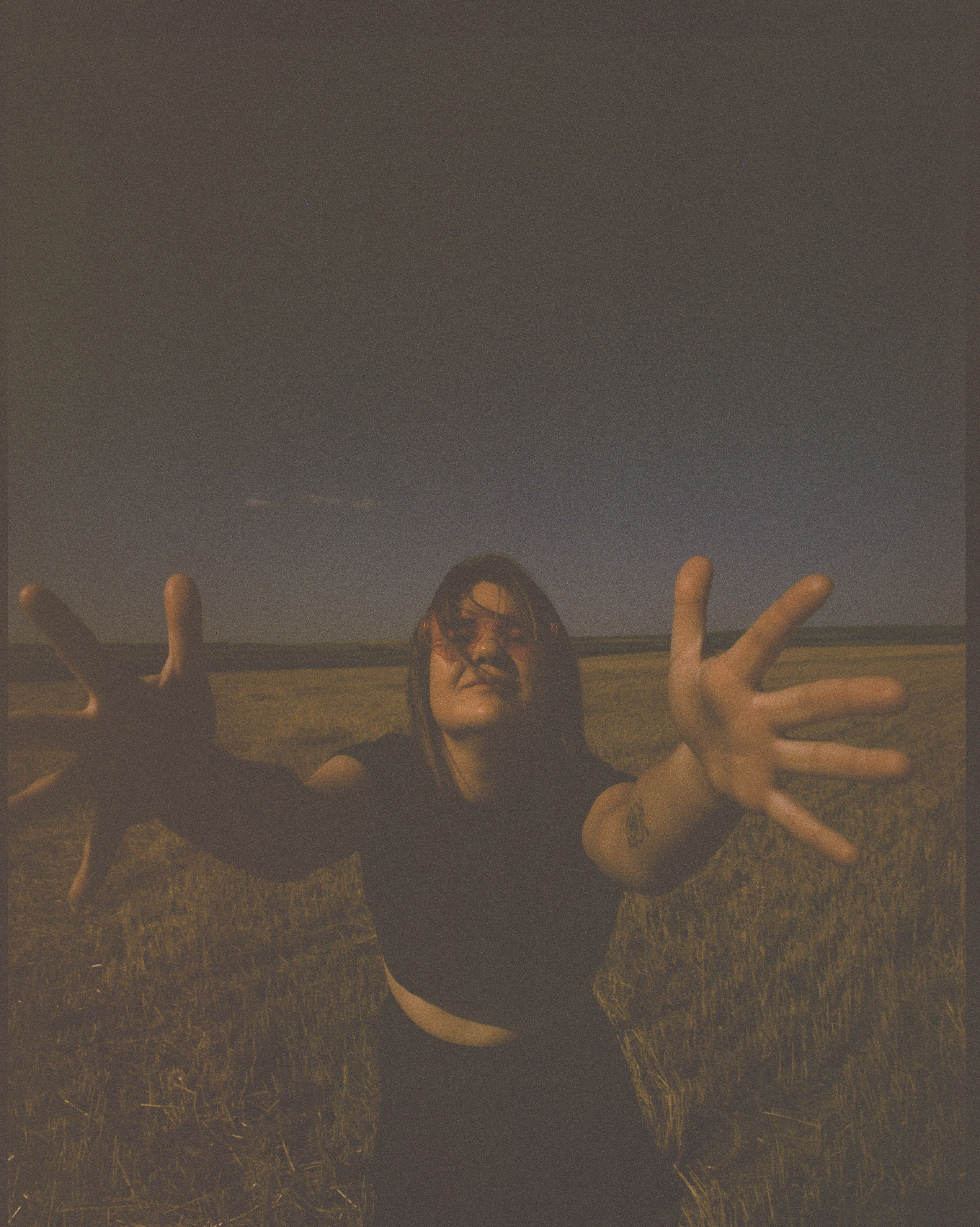 Sunflowers // Staysha. Bleeding Fin photostock