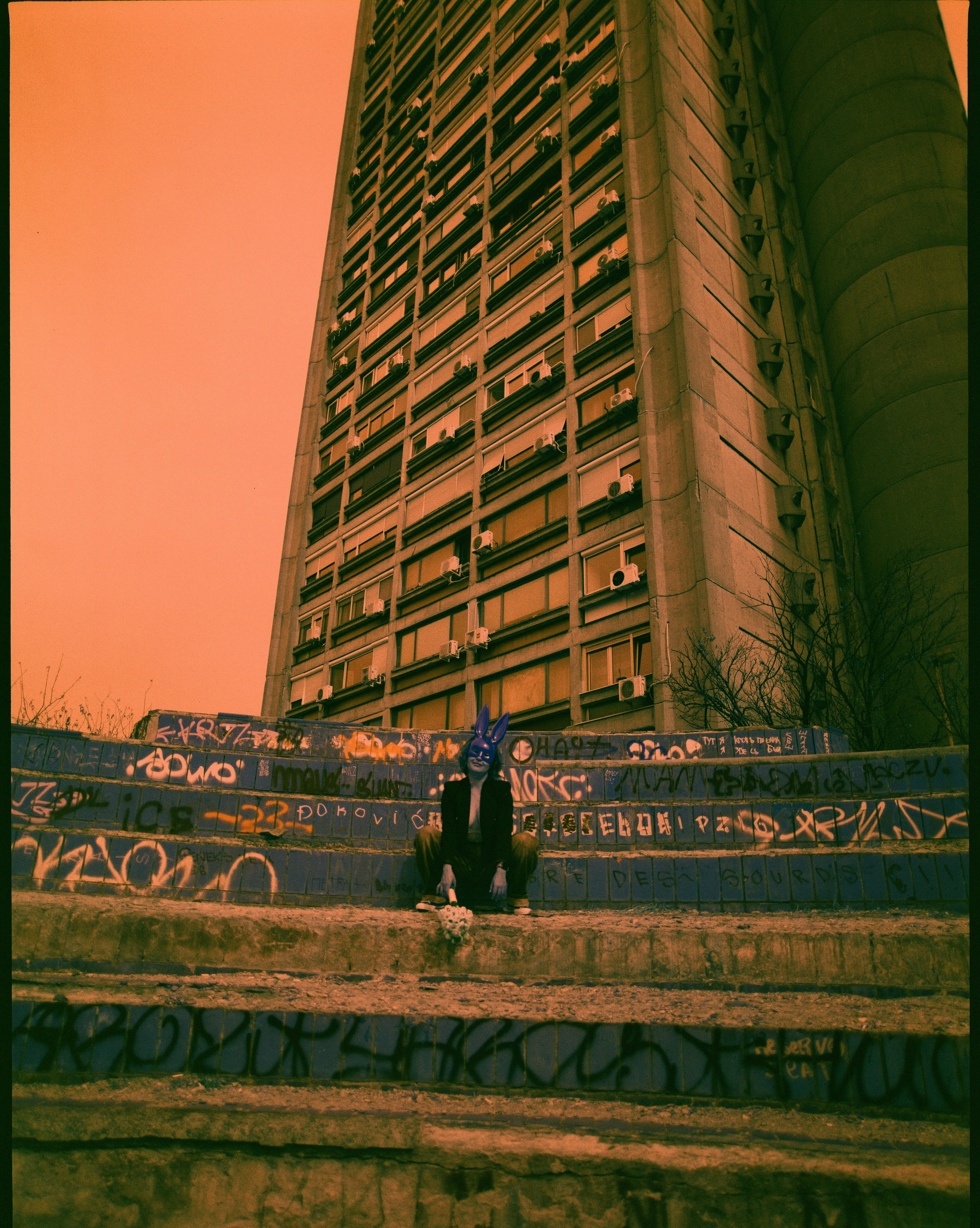Sunflowers // Staysha. Bleeding Fin photostock