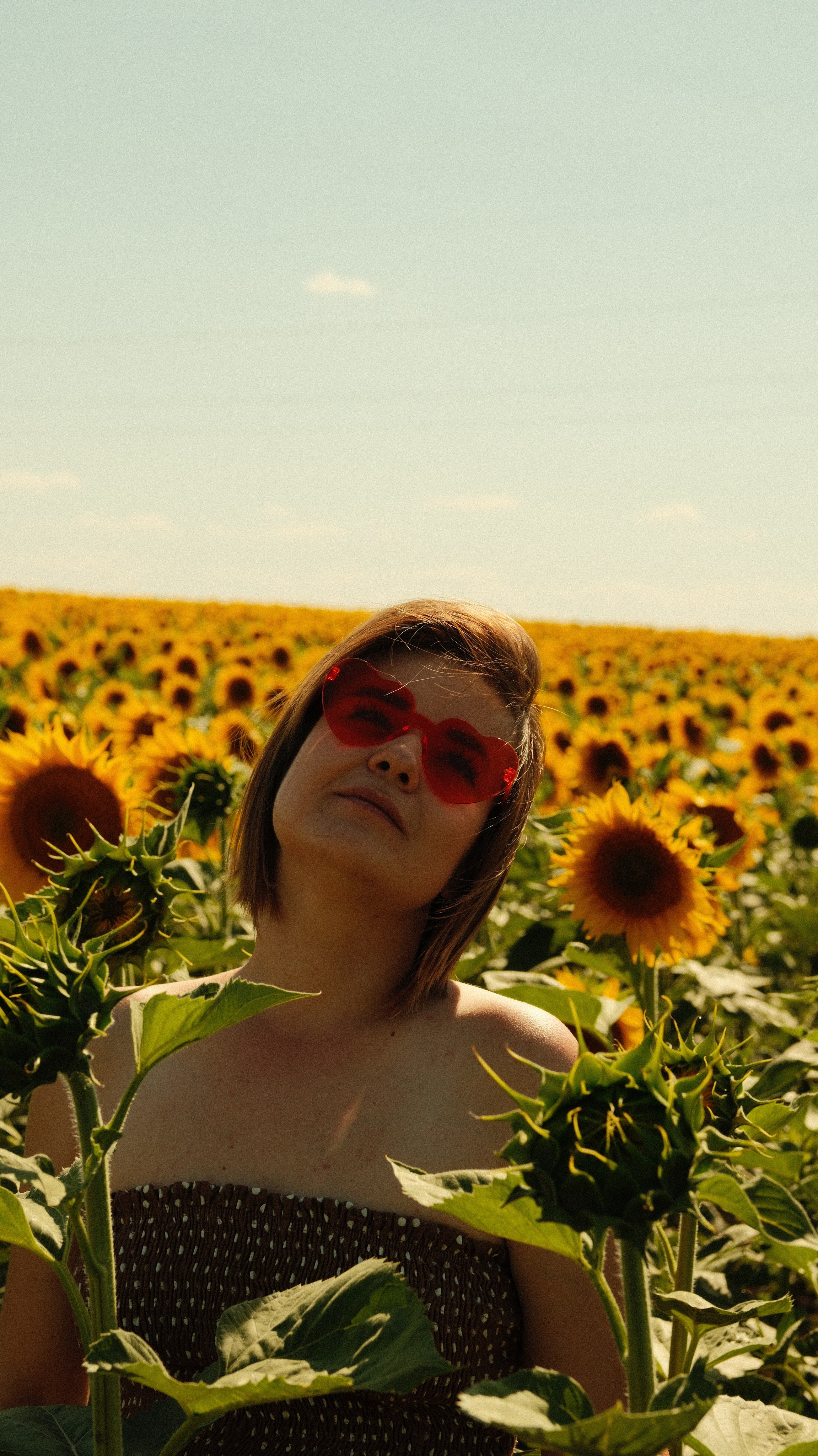 Sunflowers // Staysha. Bleeding Fin photostock