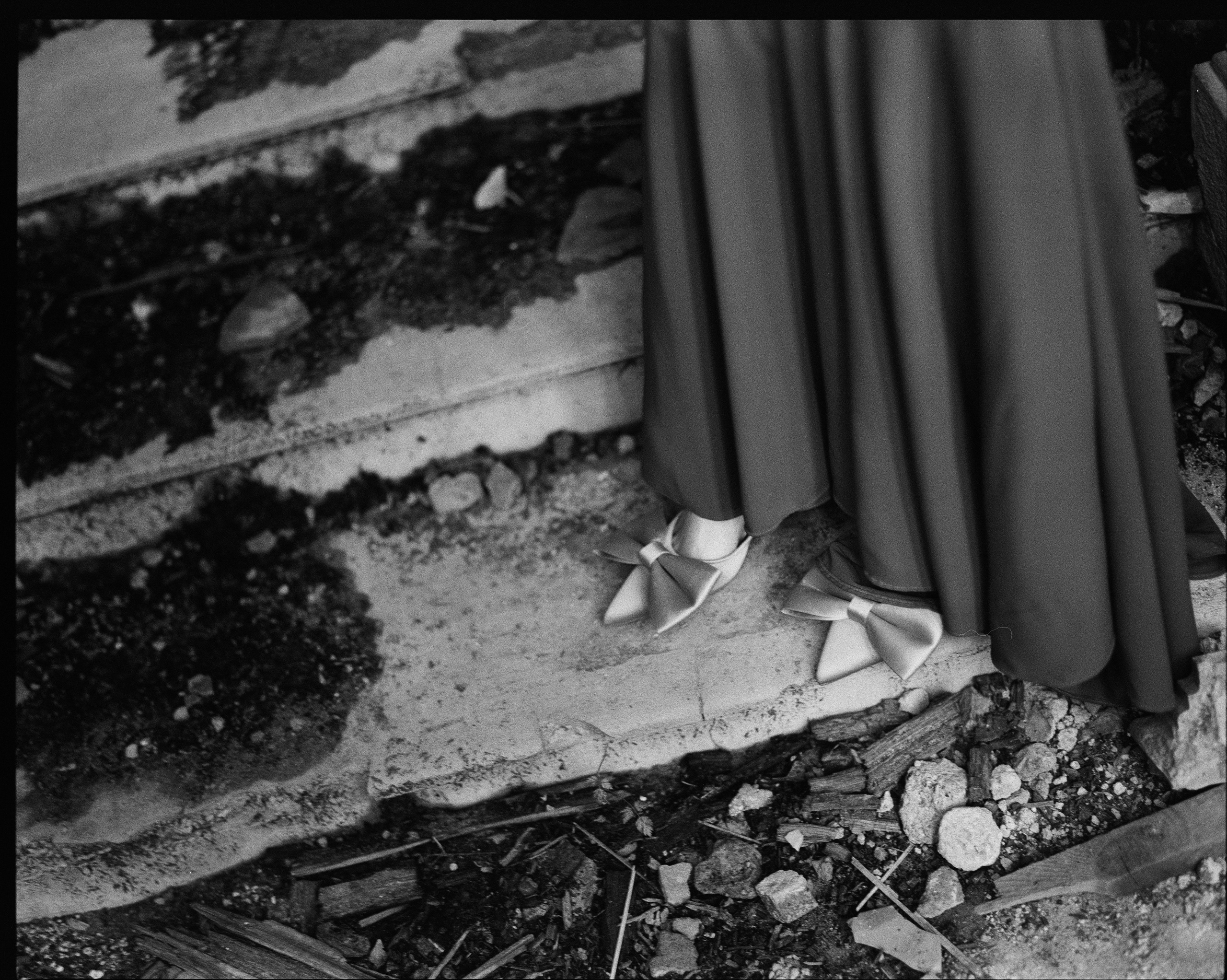 Roversi // Natasha. Bleeding Fin photostock