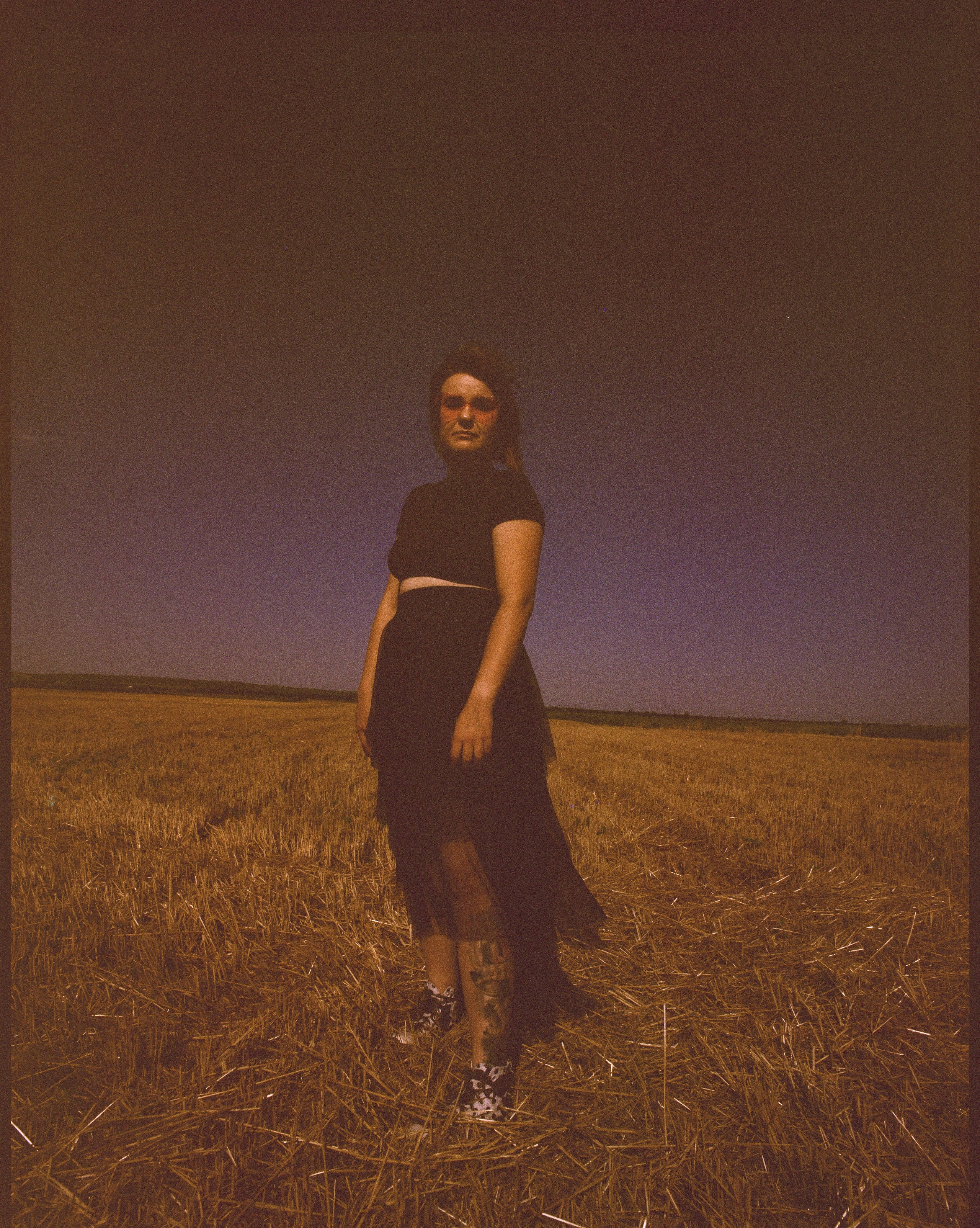 Sunflowers // Staysha. Bleeding Fin photostock