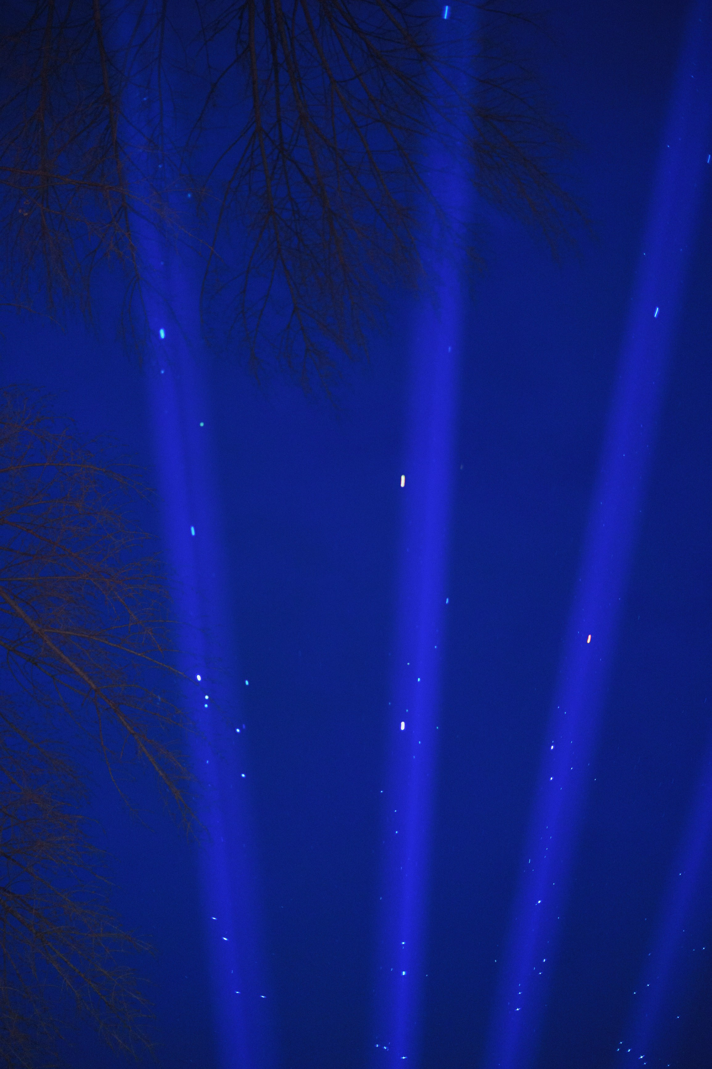 Svecano otvaranje Kineskog festivala svetla u Novom Sadu. Žukov Studio