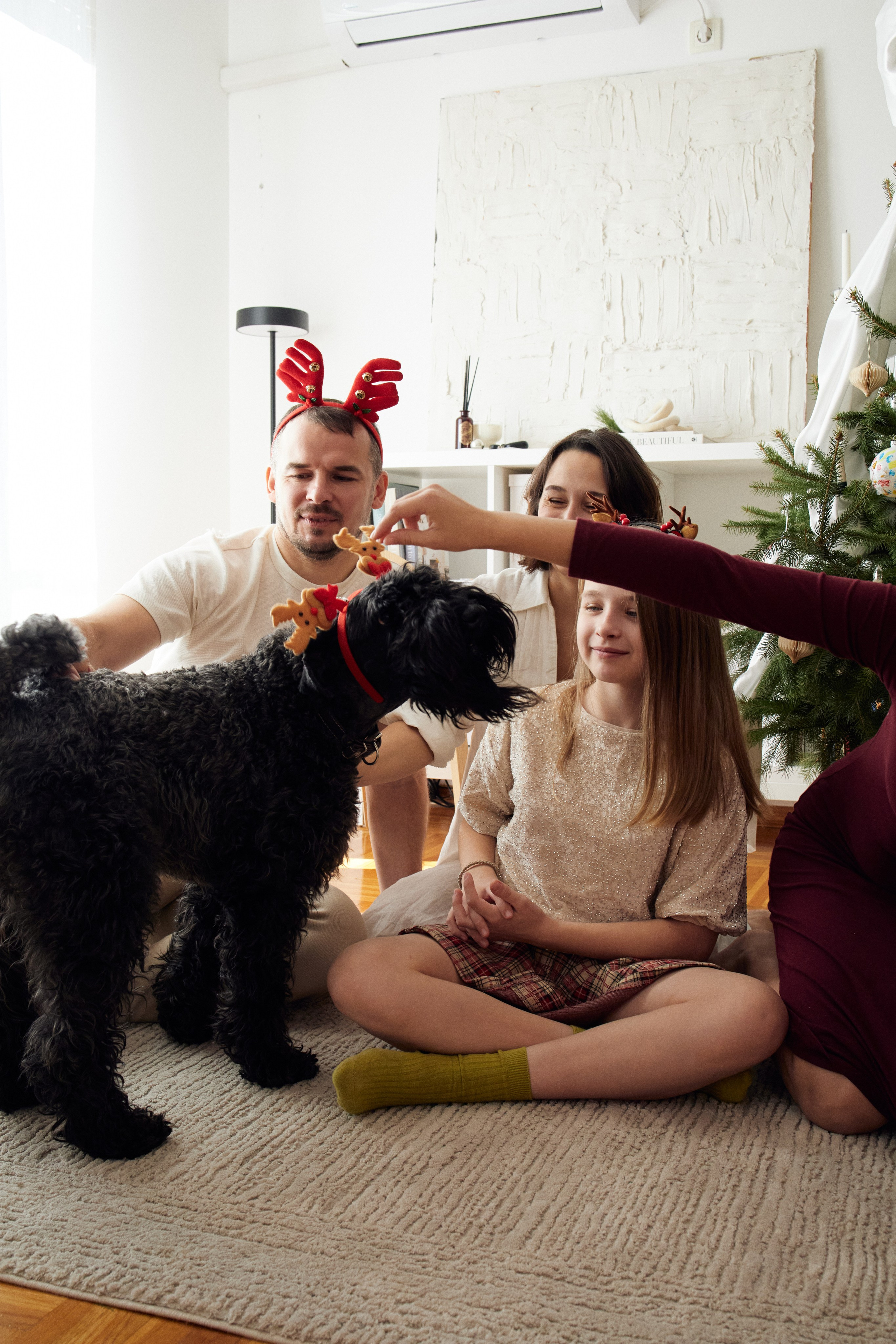 Новогодняя традиция. Анастасия Еремина | Фотограф в Сербии | Персональные и бизнес-фотосессии в Белграде и Нови Саде