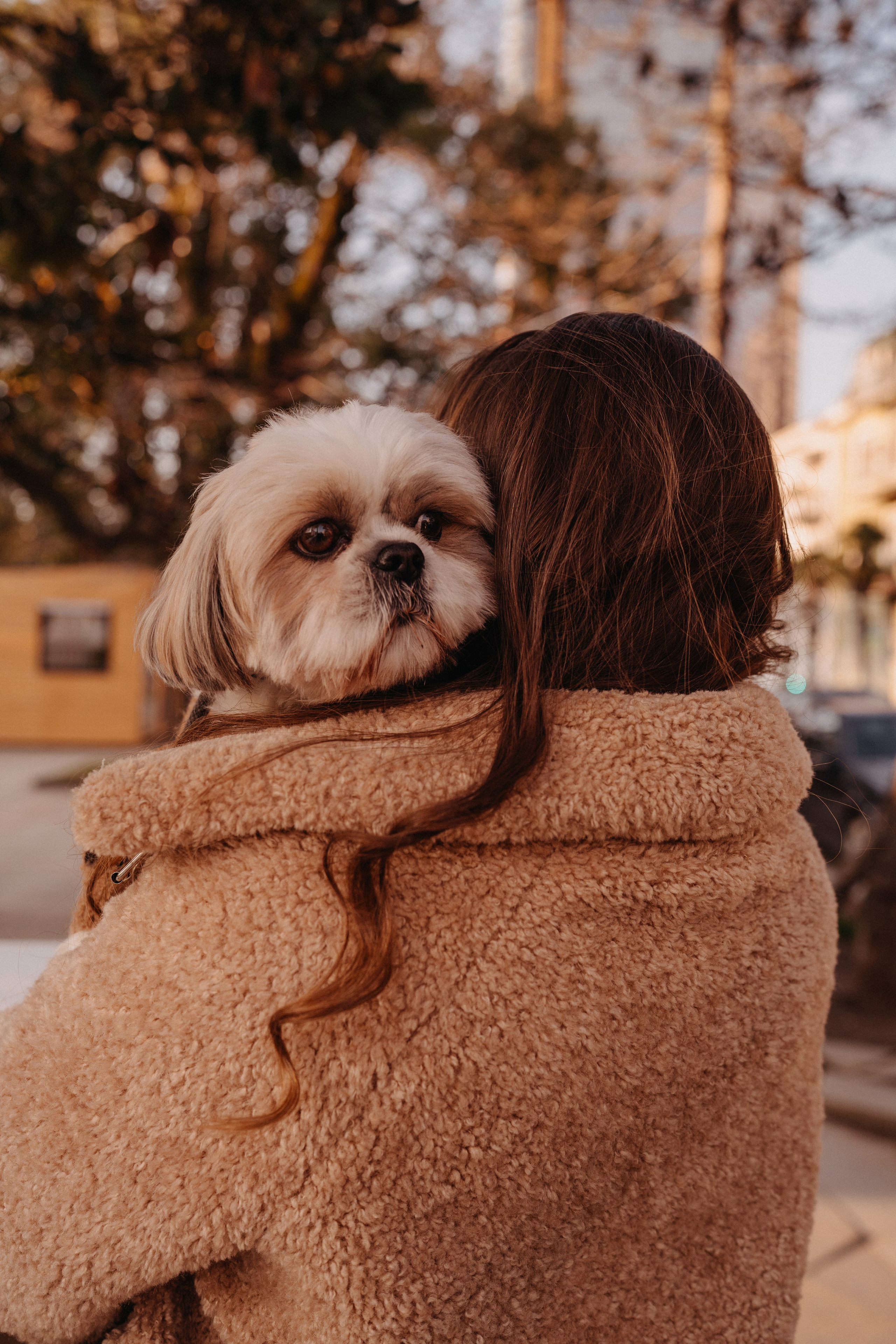 Фотосессия с собакой в Батуми. Портретный и свадебный фотограф в Батуми Валерия Азаренко