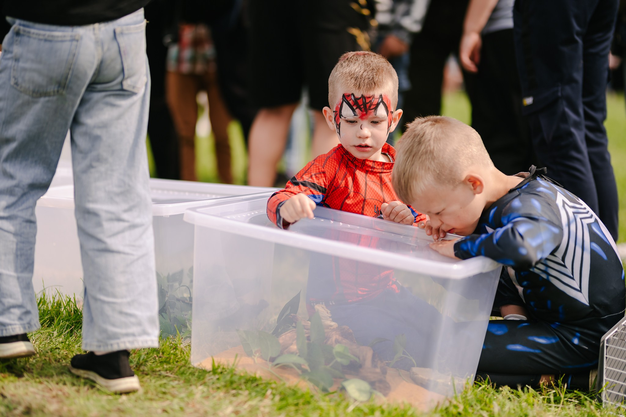 Saulė virė | Laimės festivalis. Rokas Baranauskas fotografija