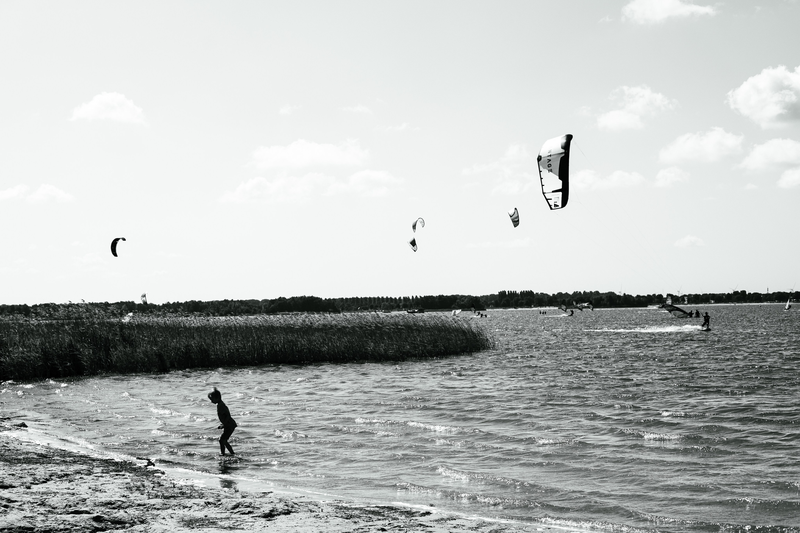 Kite. Family and Portraits photographer Diana Andoni