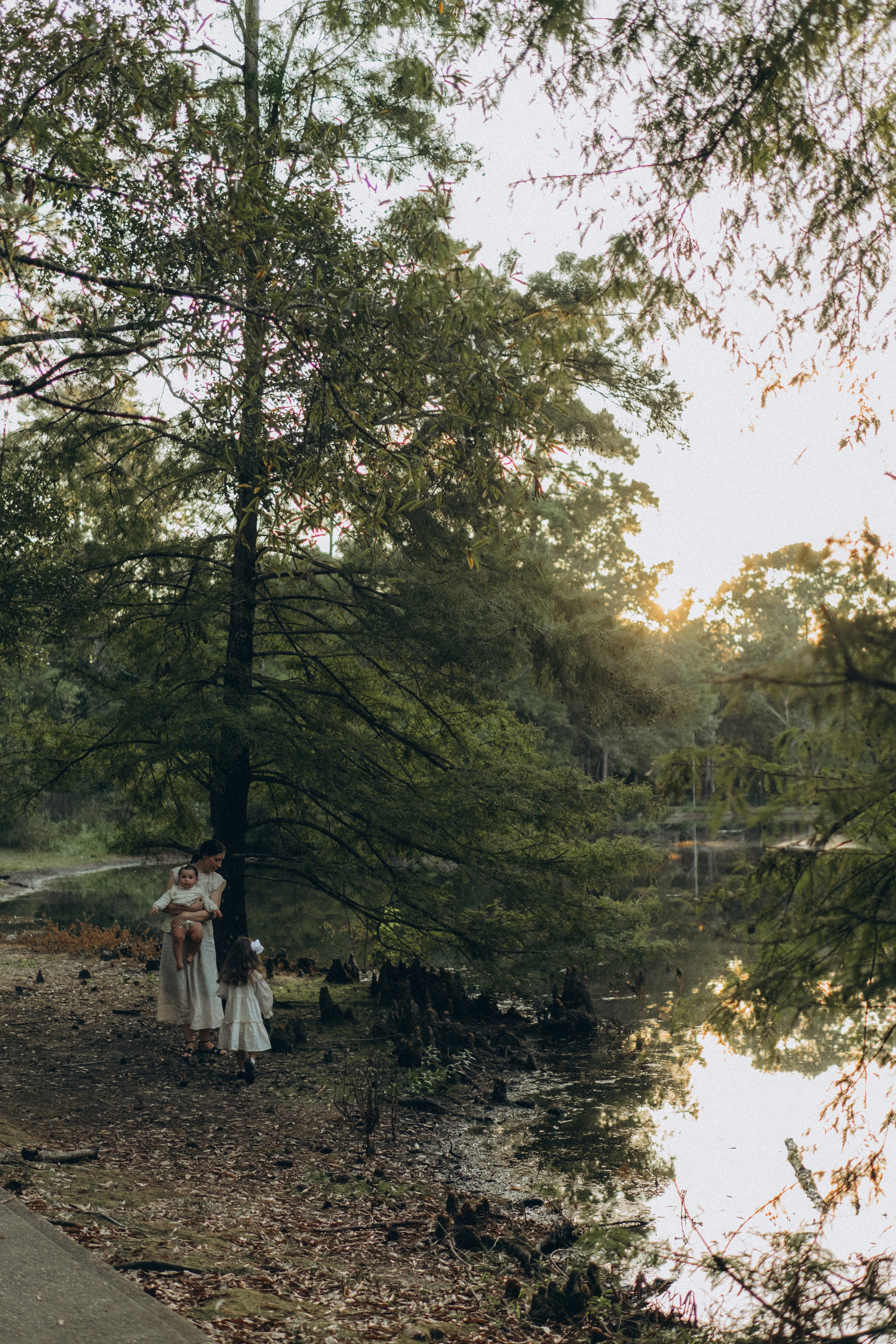 The Woodlands. Lens Captures Life