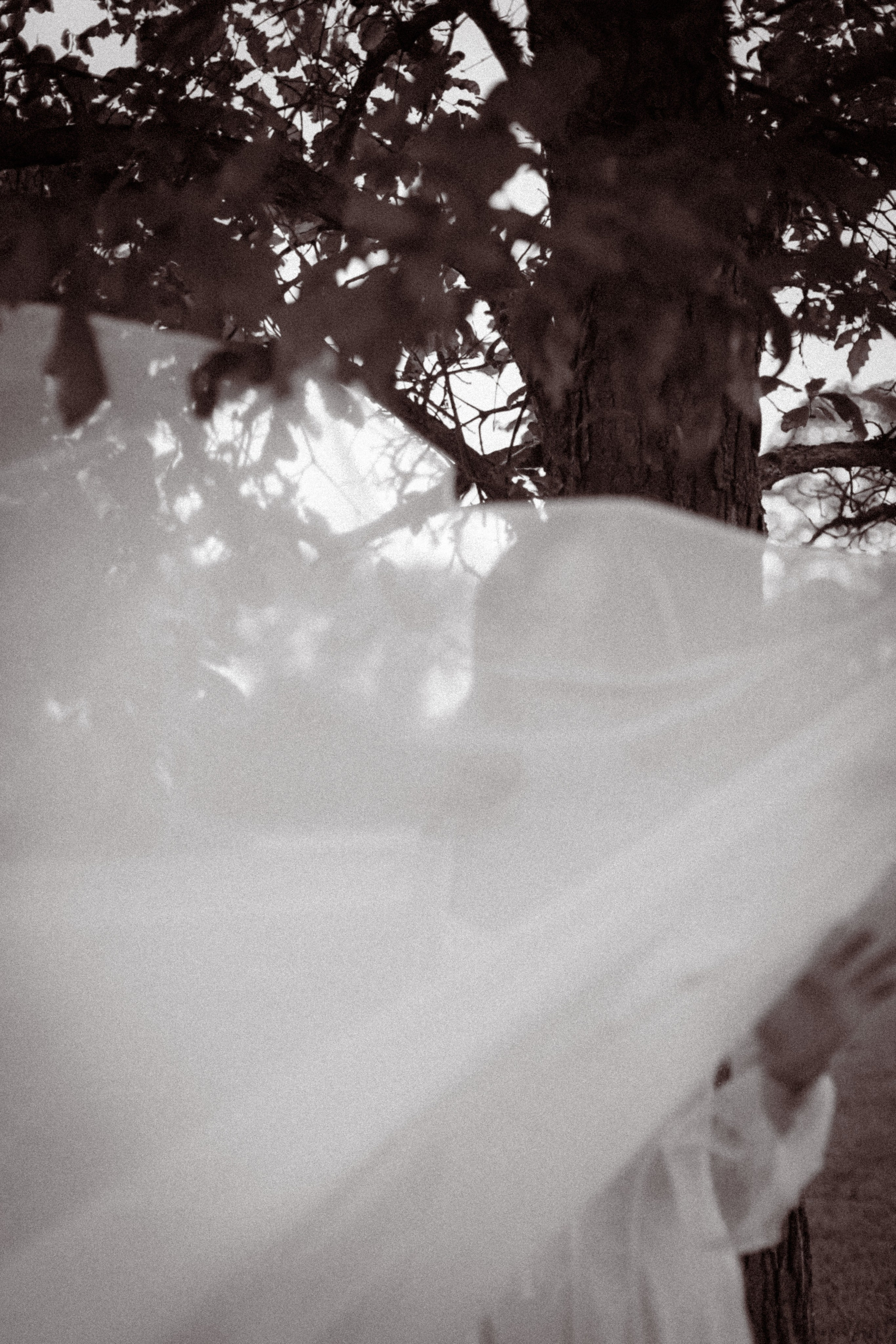 Tanita. VALERIIA VIUNOVA individual shooting\love story\event\brand