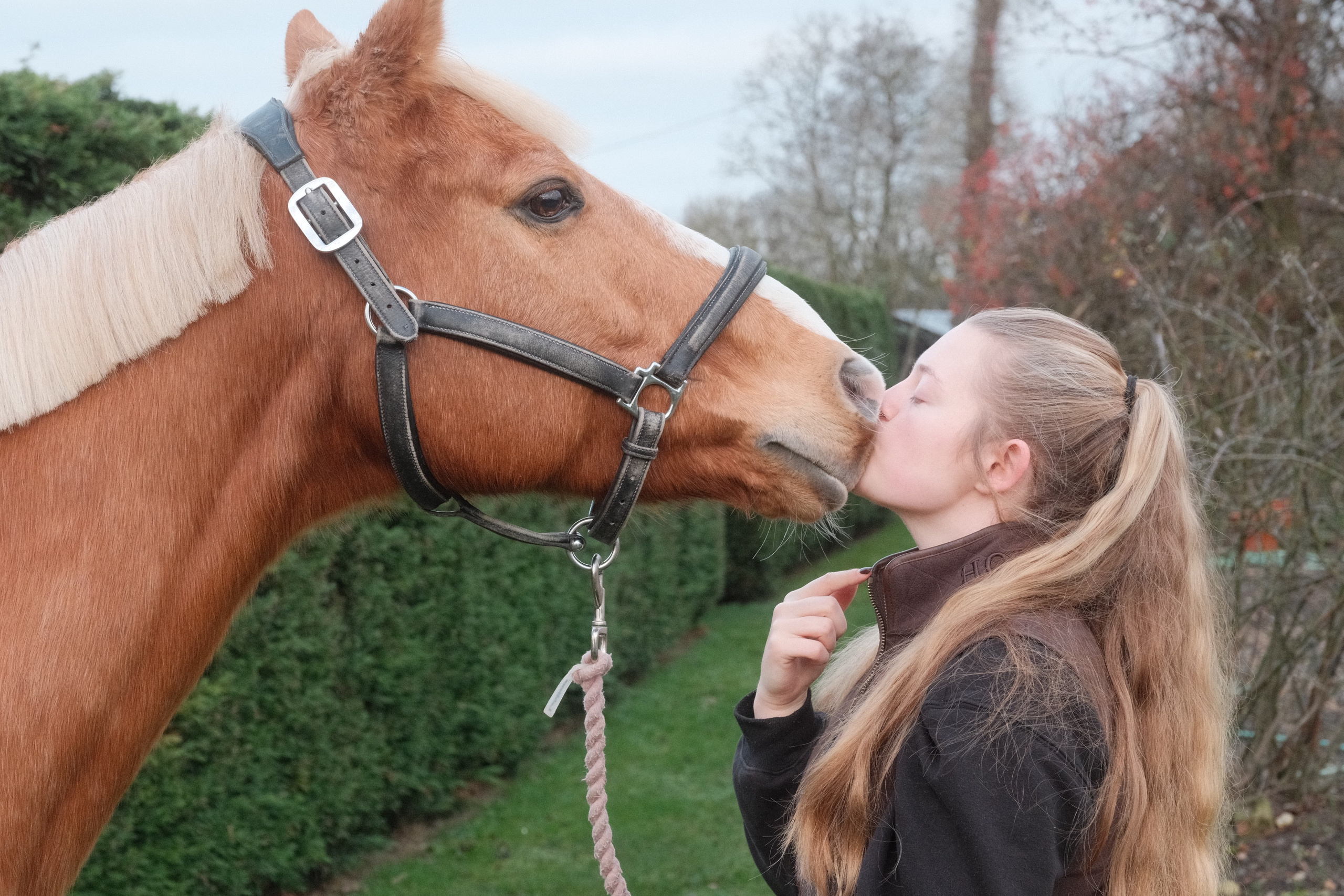 Portrait photography with Fudge the horse. Cal Takes Photos