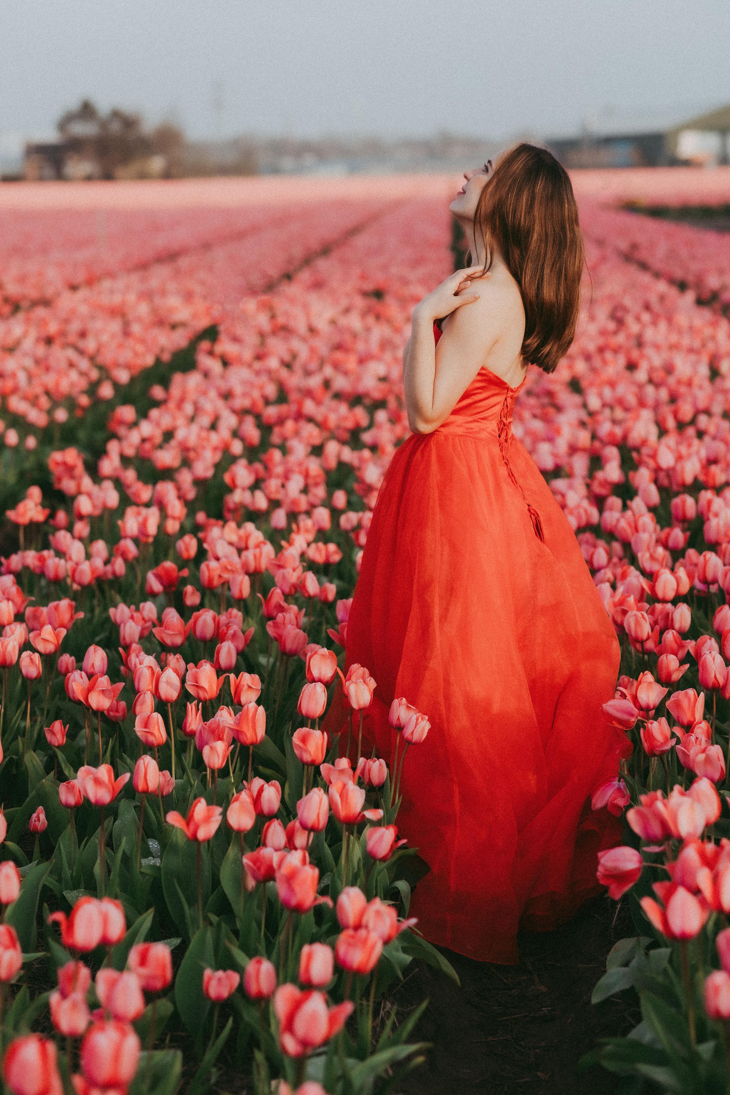 Tulpen Felde. Familien Fotografin Kristina Klein aus Schüttorf