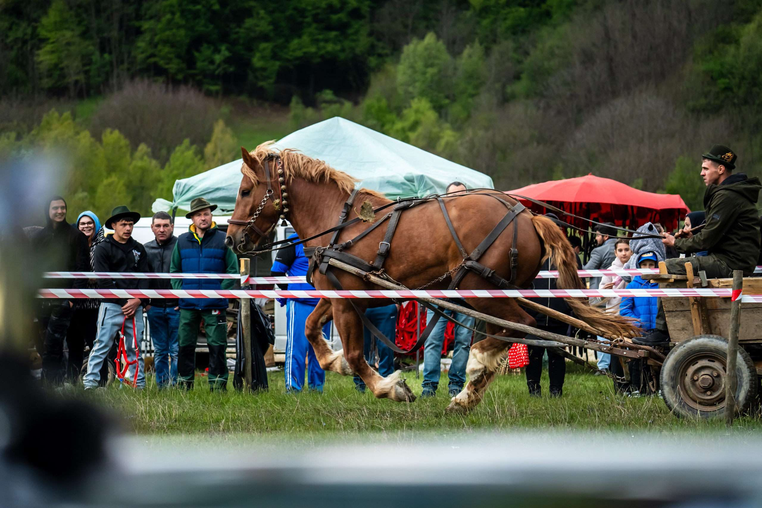 Concurs Ecvestru Vărbilău ediția a 4-a. Mihai Alexandra Events
