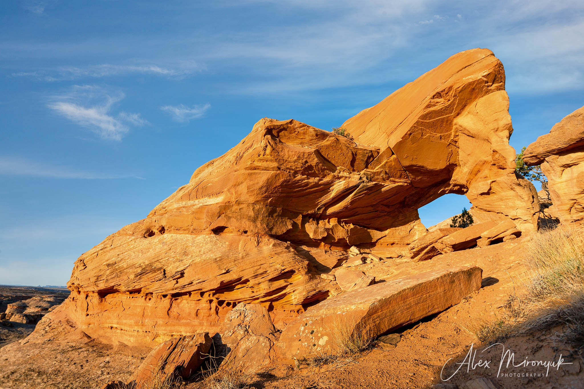 Eagle’s View: The American Southwest. Pet, Senior, Landscape, portrait studio, photographer in Miami and Sou