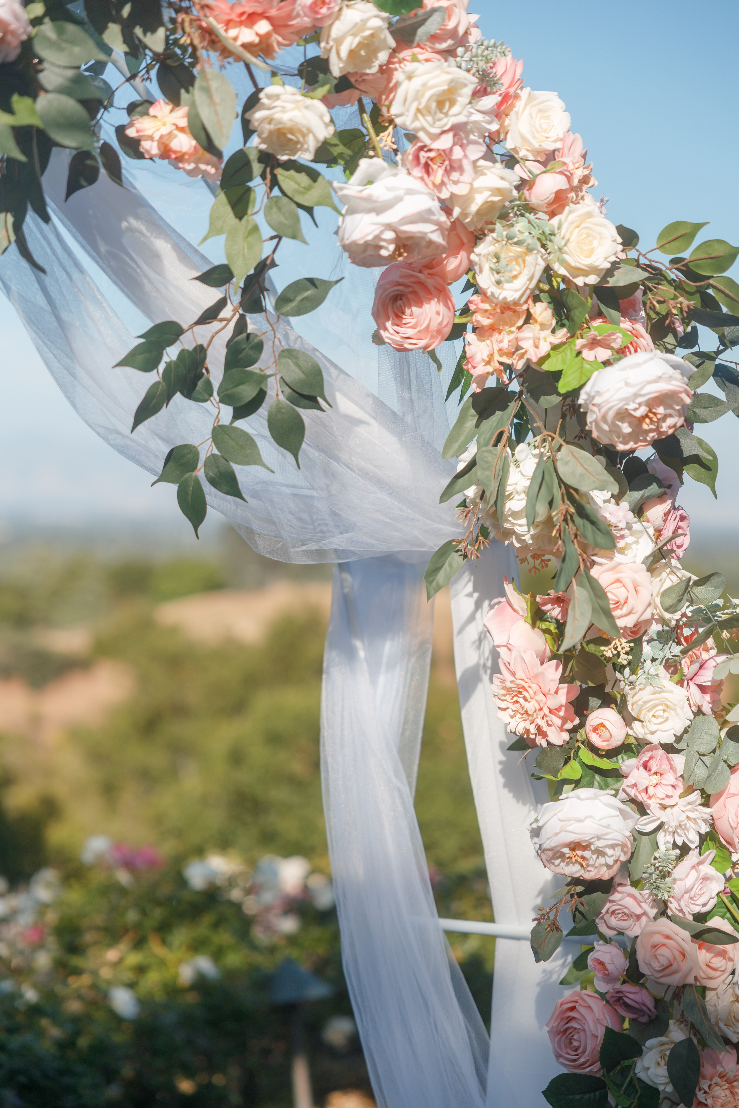 Wedding. Family and Event photographer in Bay Area Elena Tiuriumina