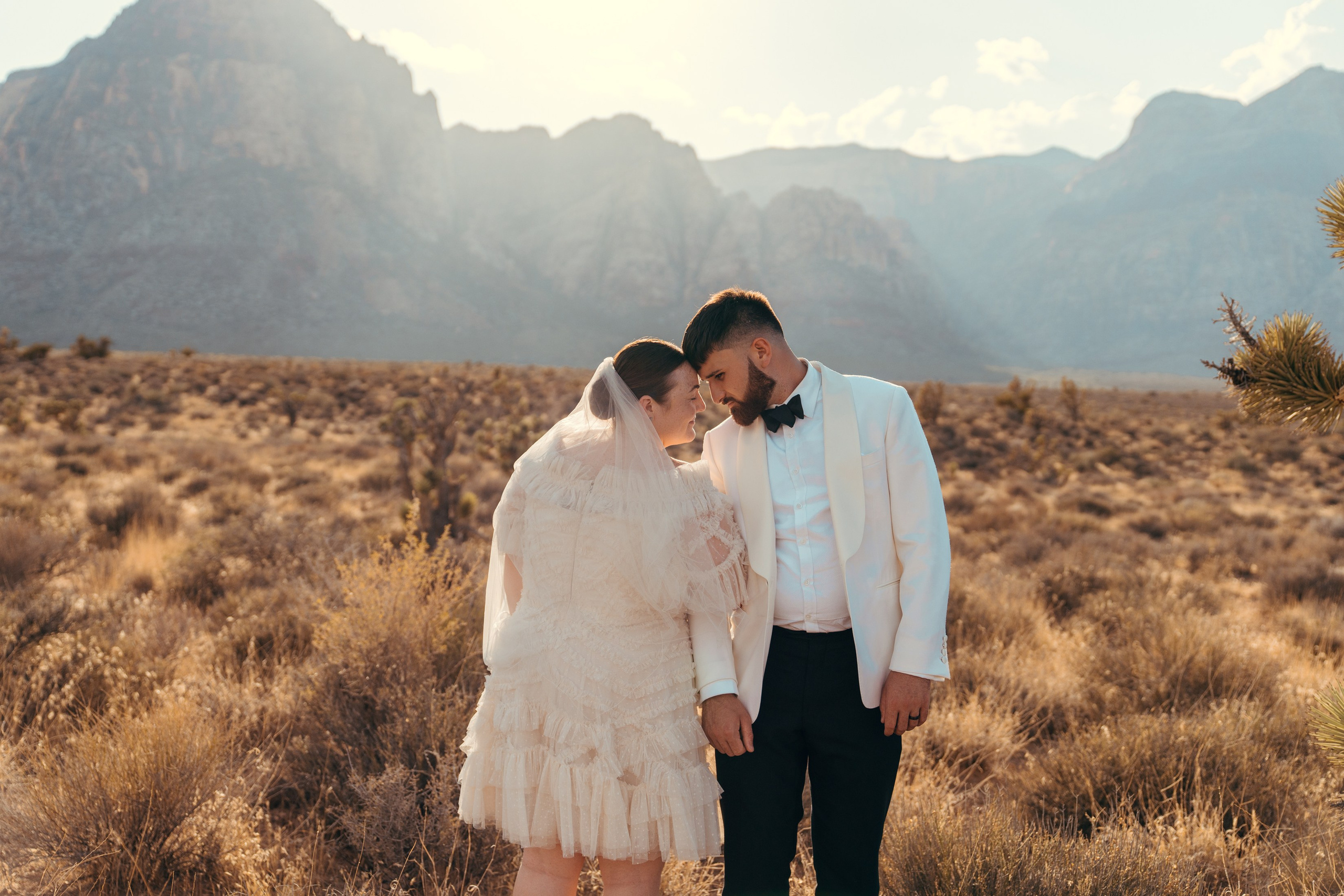 Cassie&Jimmy. Wedding & elopement photographer Viktoriya Kravtsov. Las Vegas