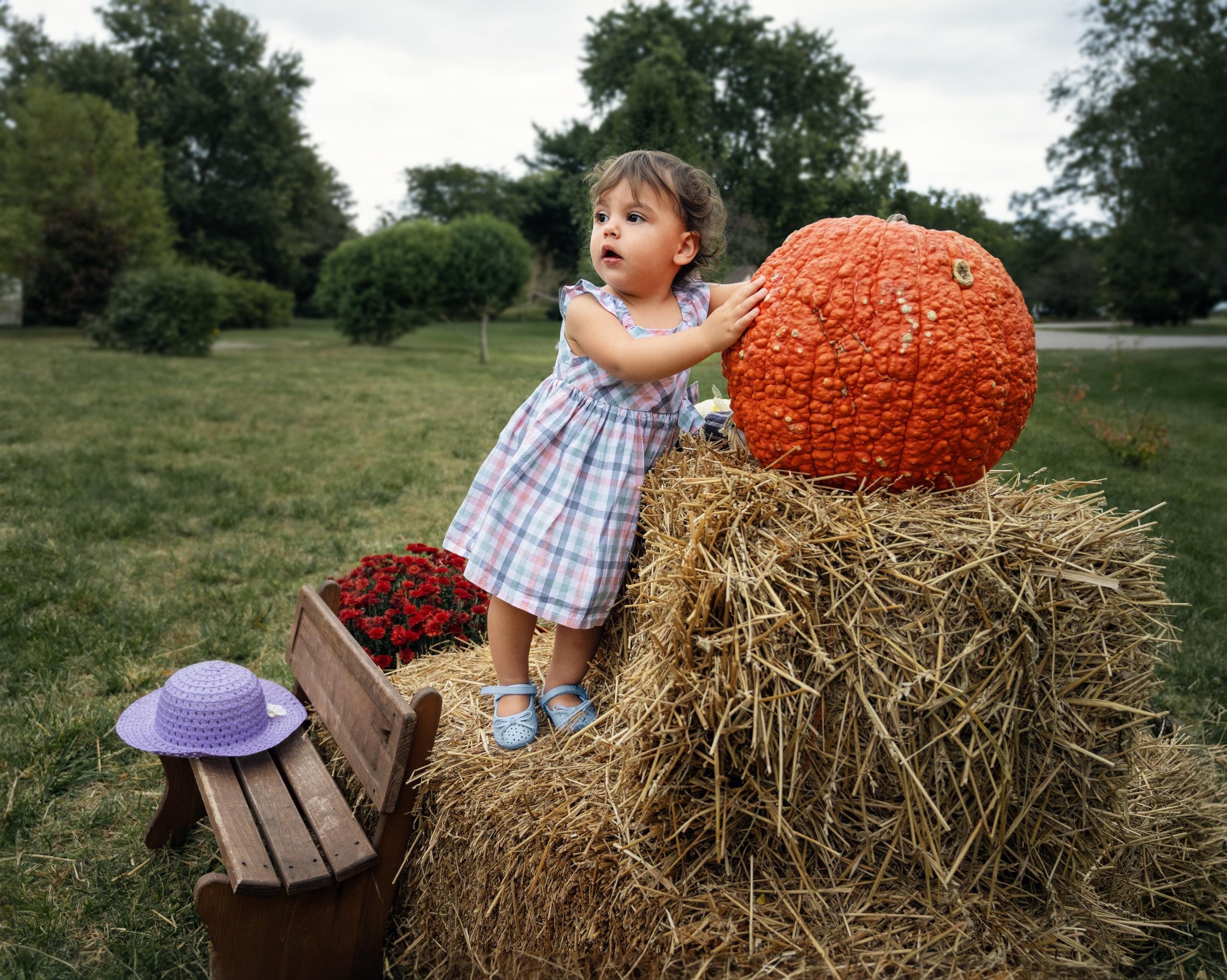 Family. Family and Fine Art Photographer in Pickerington OH