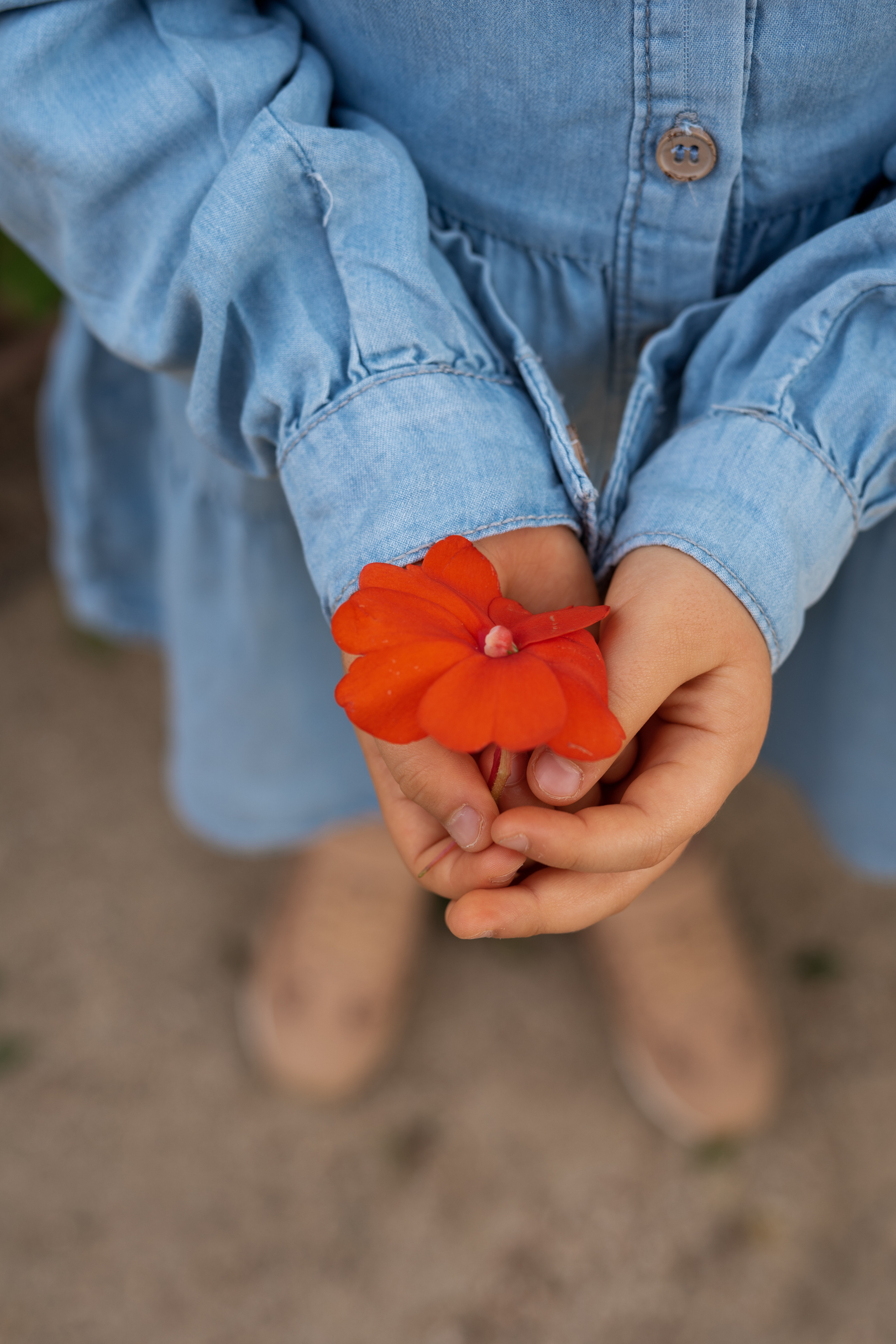 Fotógrafo de retratos familiares en Madrid. Fotógrafo en Madrid, España. Alyona Belyaninova