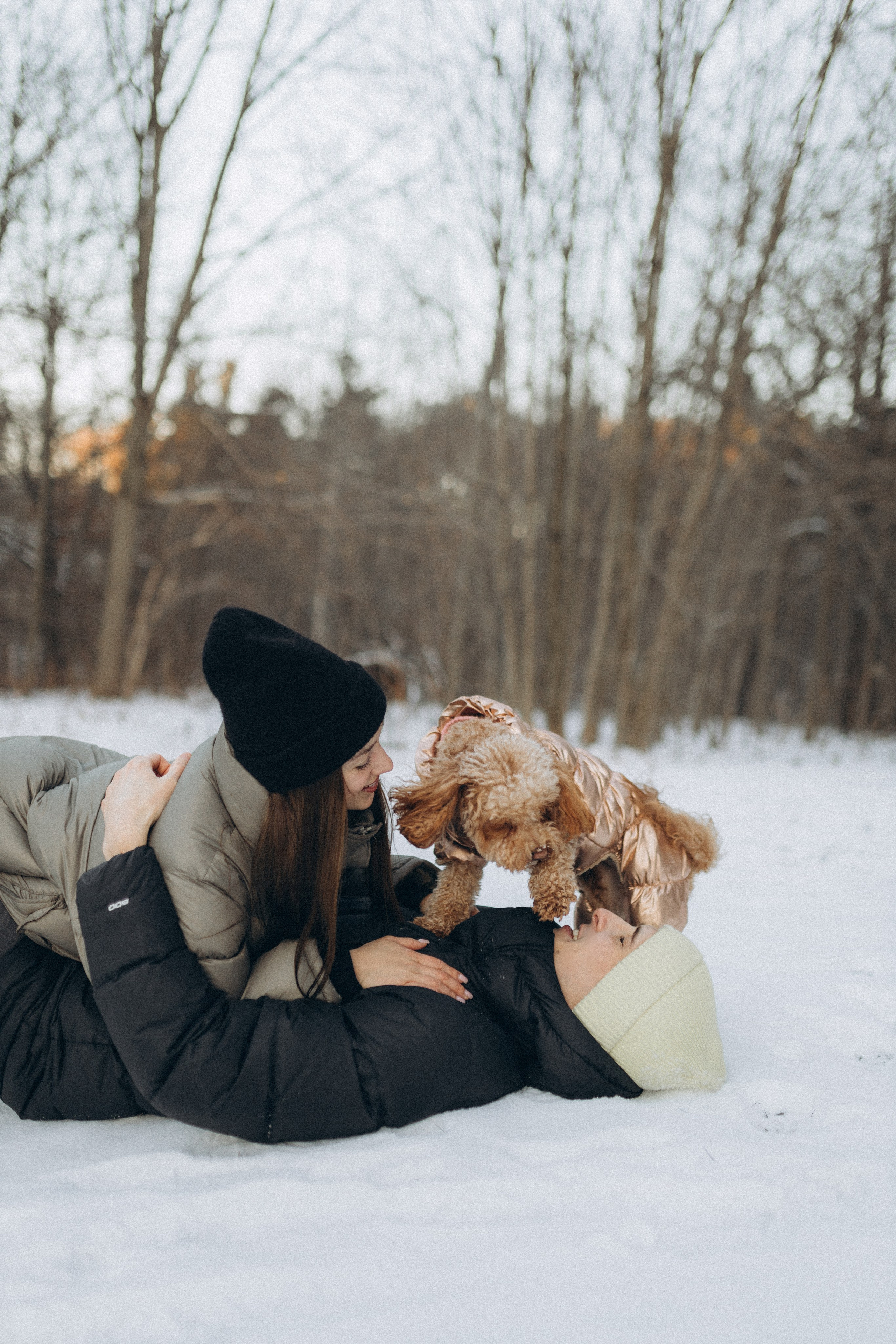 Winter magic. Chernenko.photography