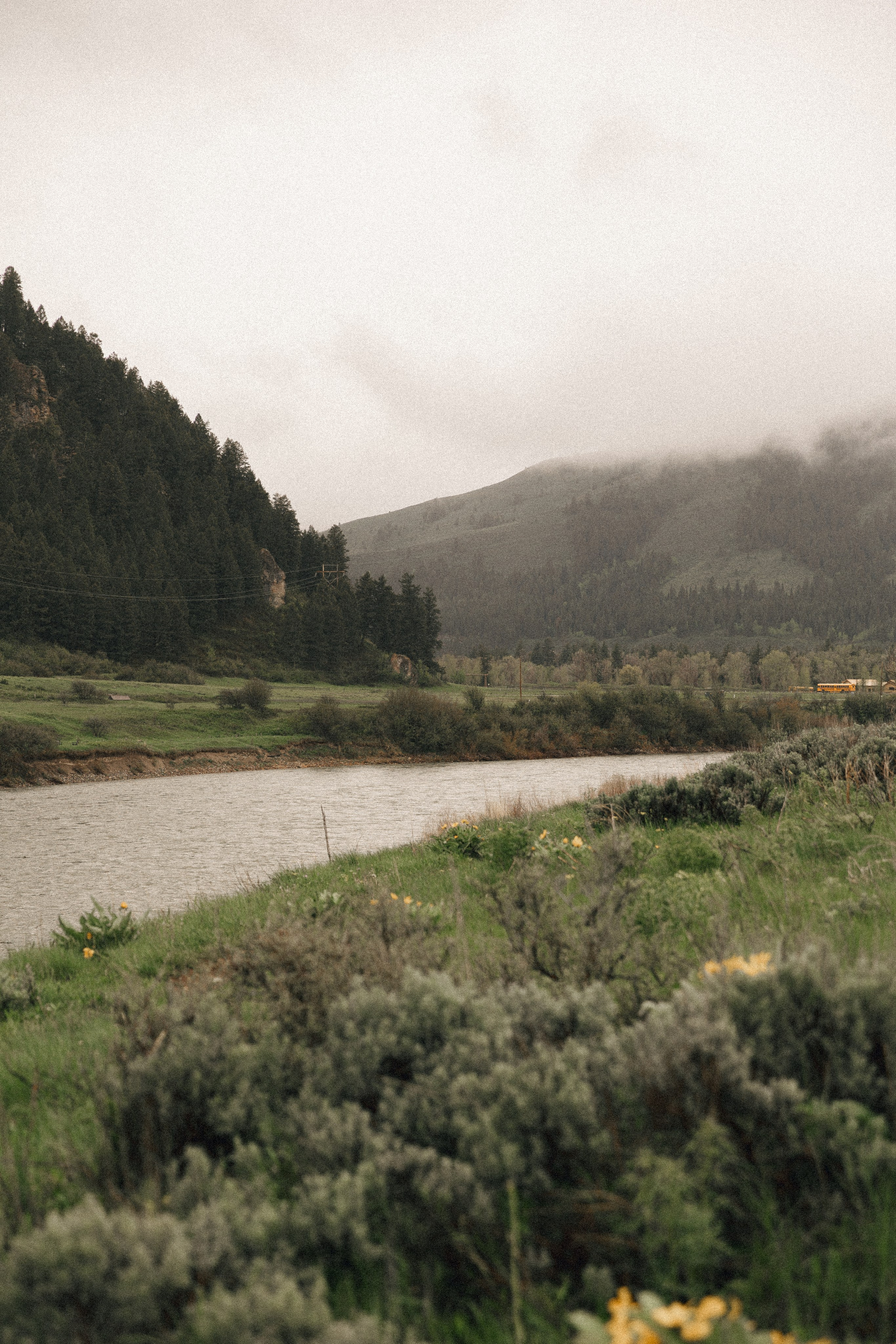 Colby & Hailey | Elopement at Grand Teton