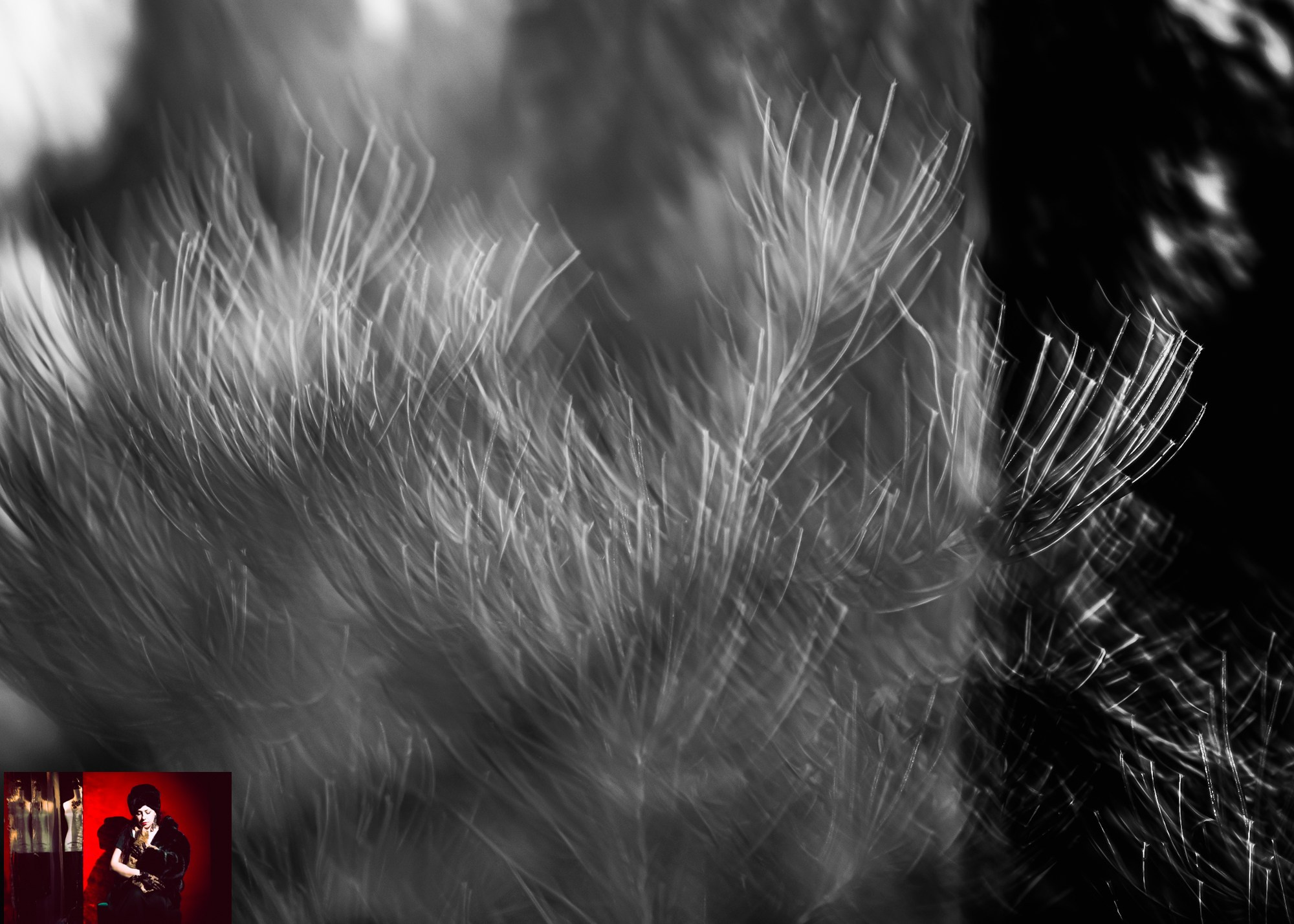 Portraits of Park Residents. Ekaterina Tsurkina-Appina Photography Canada